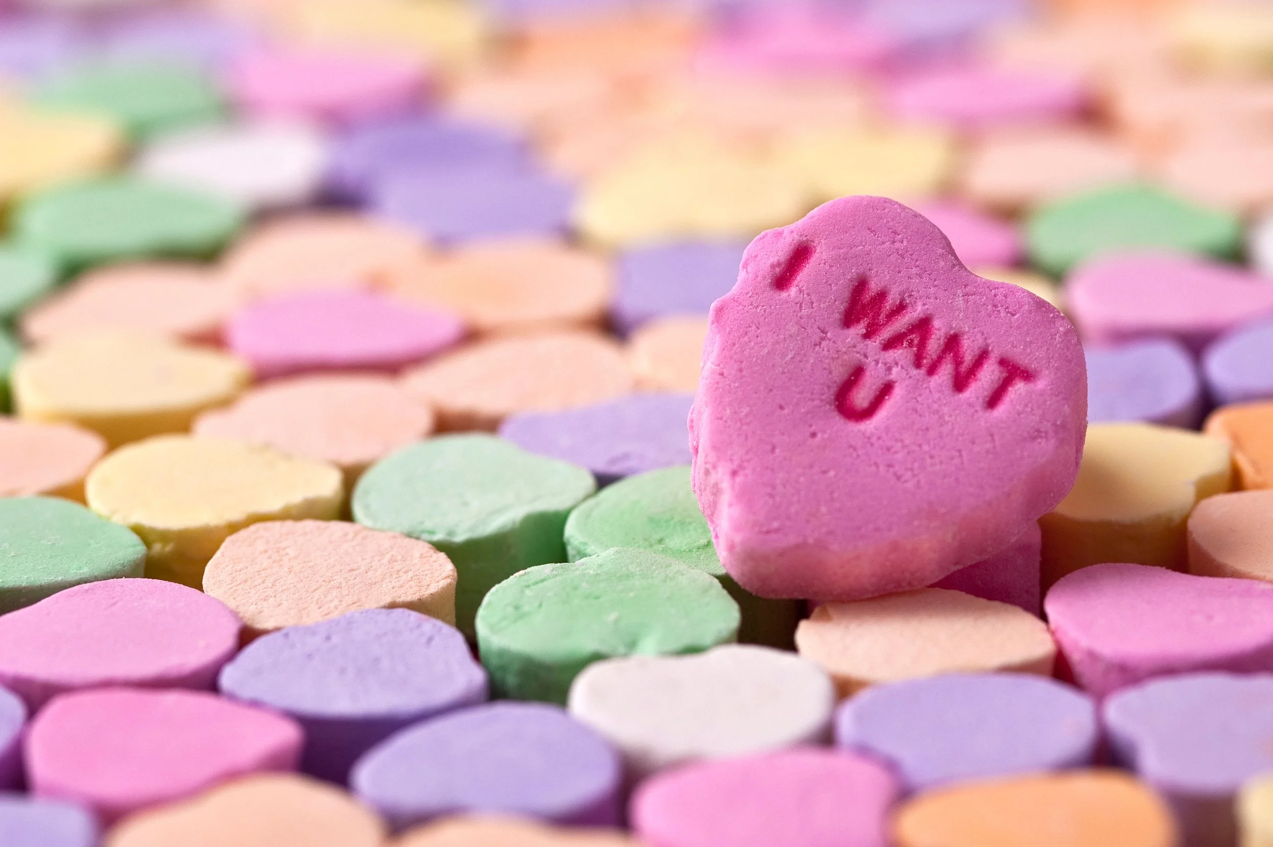 Chapter Nineteen: Yacht Rock-Speed Dating Night