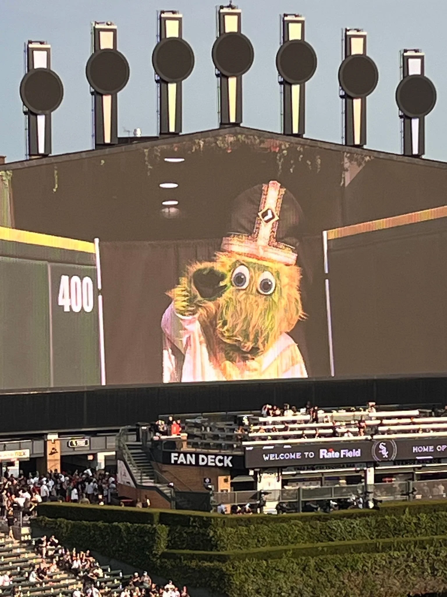 Pope hat 2.jpg
