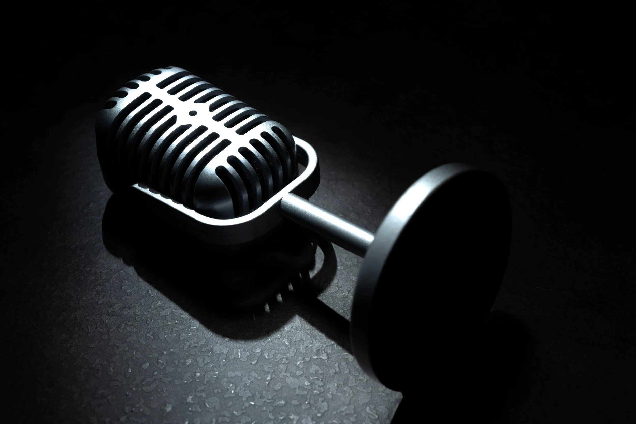 Chapter Thirty: The Final Podcast