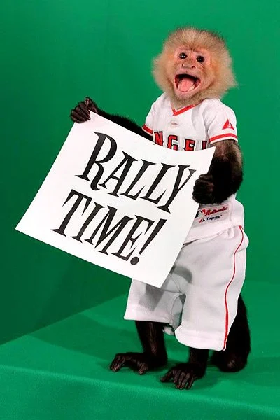 Small monkey dressed in baseball uniform holding a sign that reads "Rally Time!"