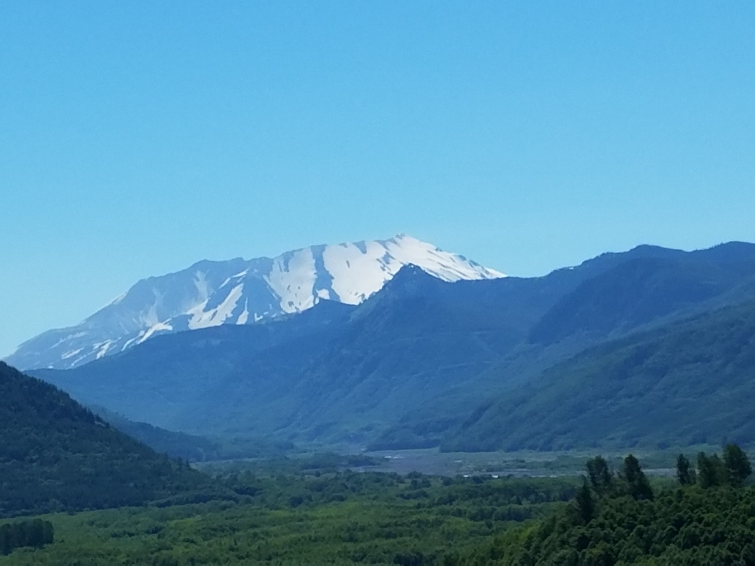 Snow-capped mountain range under a clear blue sky with green forested hills in the foreground.