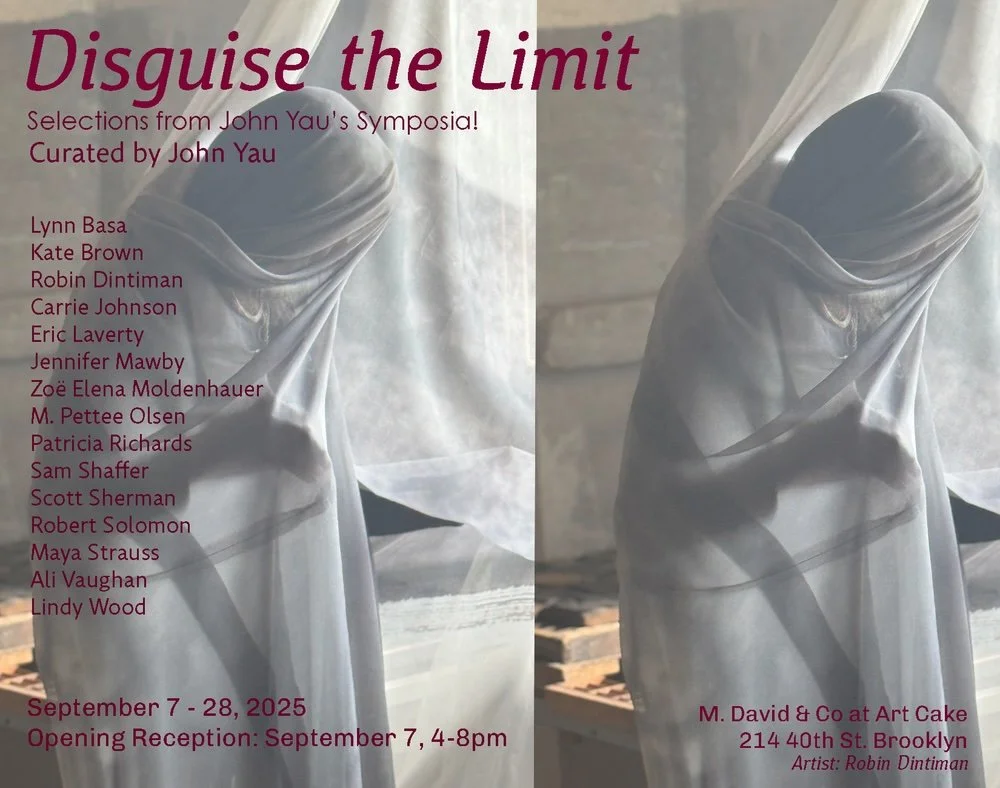Event poster for art exhibition titled 'Disguise the Limit' featuring selections from John Yau's Symposia, curated by John Yau. The poster lists artists including Lynn Basa, Kate Brown, Robin Dintiman, Carrie Johnson, Eric Laverty, Jennifer Mawby, Zoe Elena Moldenhauer, M. Pettee Olsen, Patricia Richards, Sam Shaffer, Scott Sherman, Robert Solomon, Maya Strauss, Ali Vaughan, and Lindy Wood. The exhibition runs from September 7 to 28, 2025, with an opening reception on September 7 from 4 to 8 pm, at M. David & Co at Art Cake, 214 40th St., Brooklyn. The artist is Robin Dintiman.