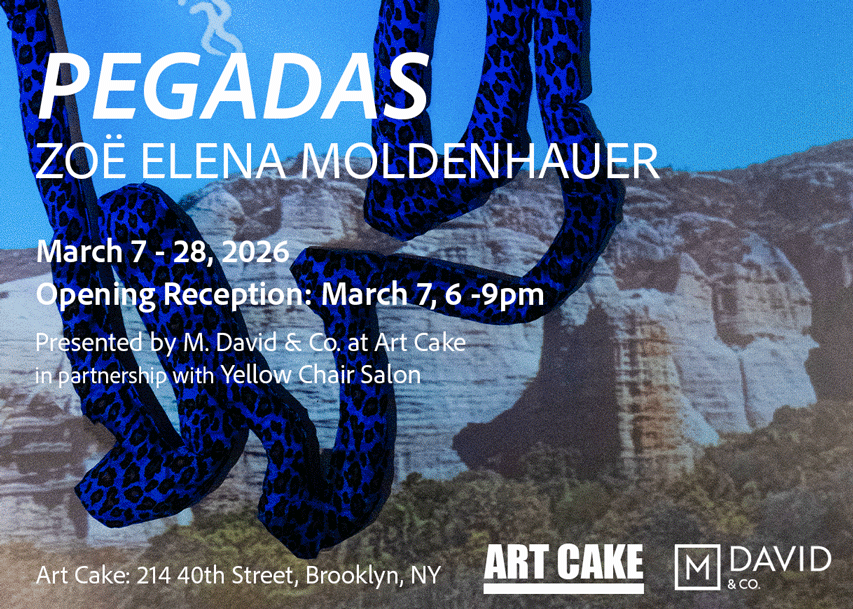 Event poster for an art exhibition titled "Pegadas" by Zoë Elena Moldenhauer, held from March 7 to March 28, 2026, with an opening reception on March 7, 6 to 9pm, presented by M. David & Co. at Art Cake, located at 214 40th Street, Brooklyn, NY. The poster features a background with rocky landscape and a large, stylized blue and black animal print snake.