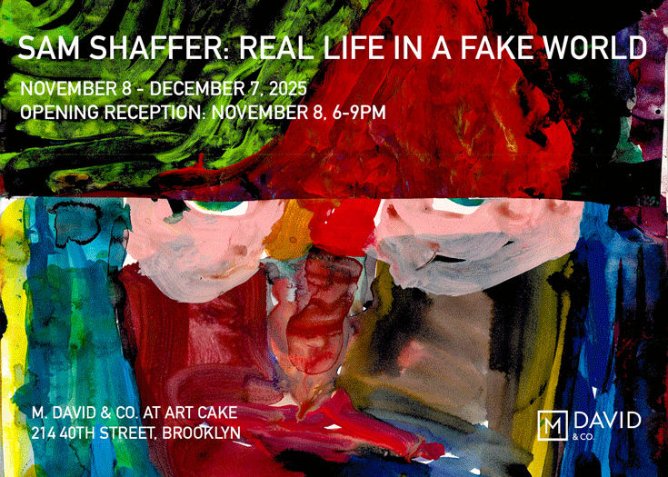 Art exhibition flyer featuring colorful, abstract, puppet-like characters promoting Sam Shaffer's art show titled 'Real Life in a Fake World' from November 8 to December 7, 2025, at M. David & Co., Brooklyn.