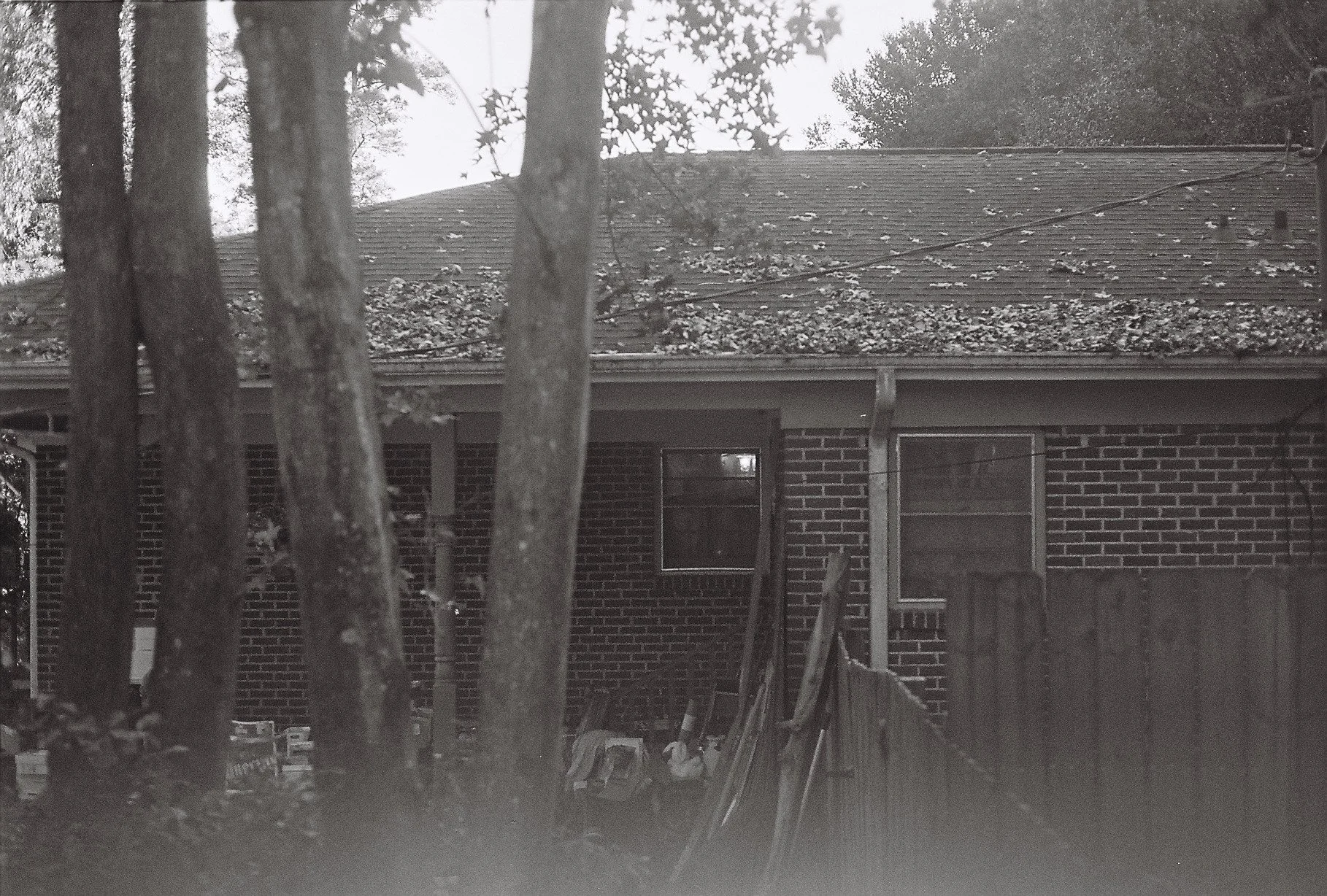 Black and white photo of a house with a brick exterior, windows, and tarped roof, partially obscured by trees in front.