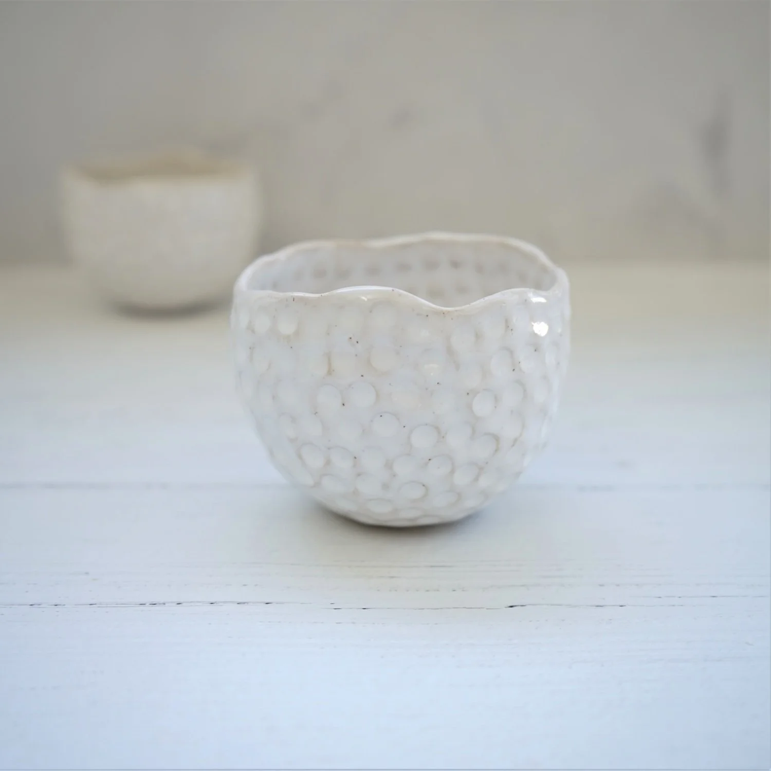 megan-louise-ceramics-succulent-planter-indoors.jpg