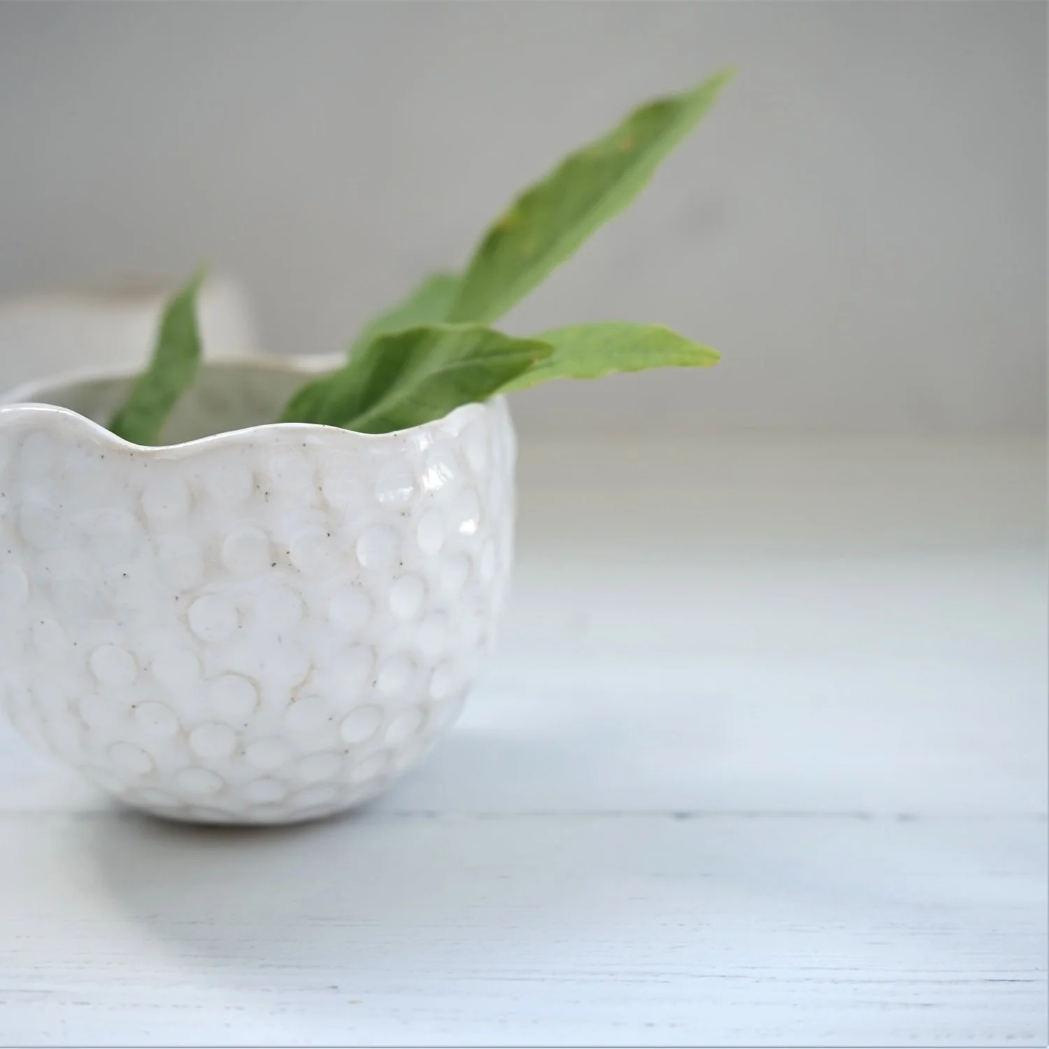 megan-louise-ceramics-small-succulent-planter.jpg
