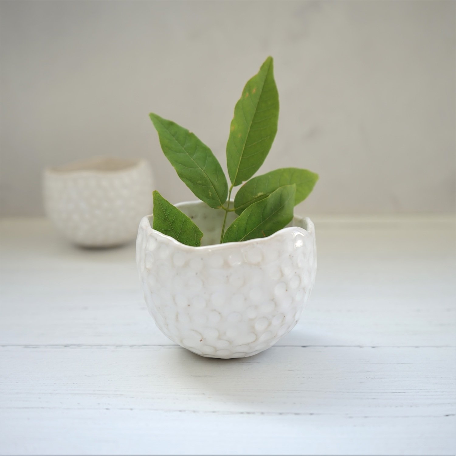 Small Textured Ceramic Succulent Pot – Glossy White Pinch Planter
