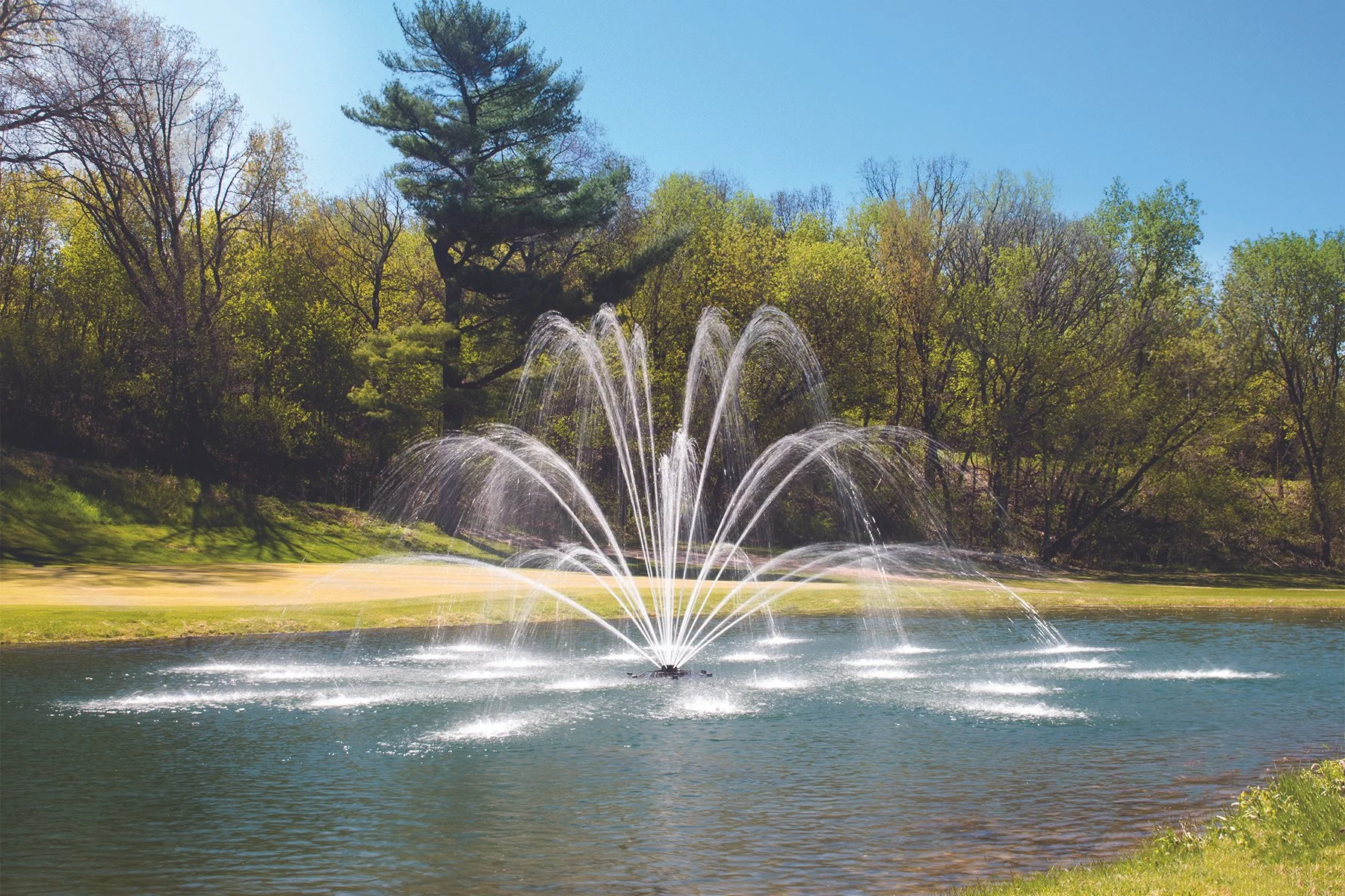 Fountain with multiple water sprays in a pond, surrounded by green trees and a grassy area, under a clear blue sky.