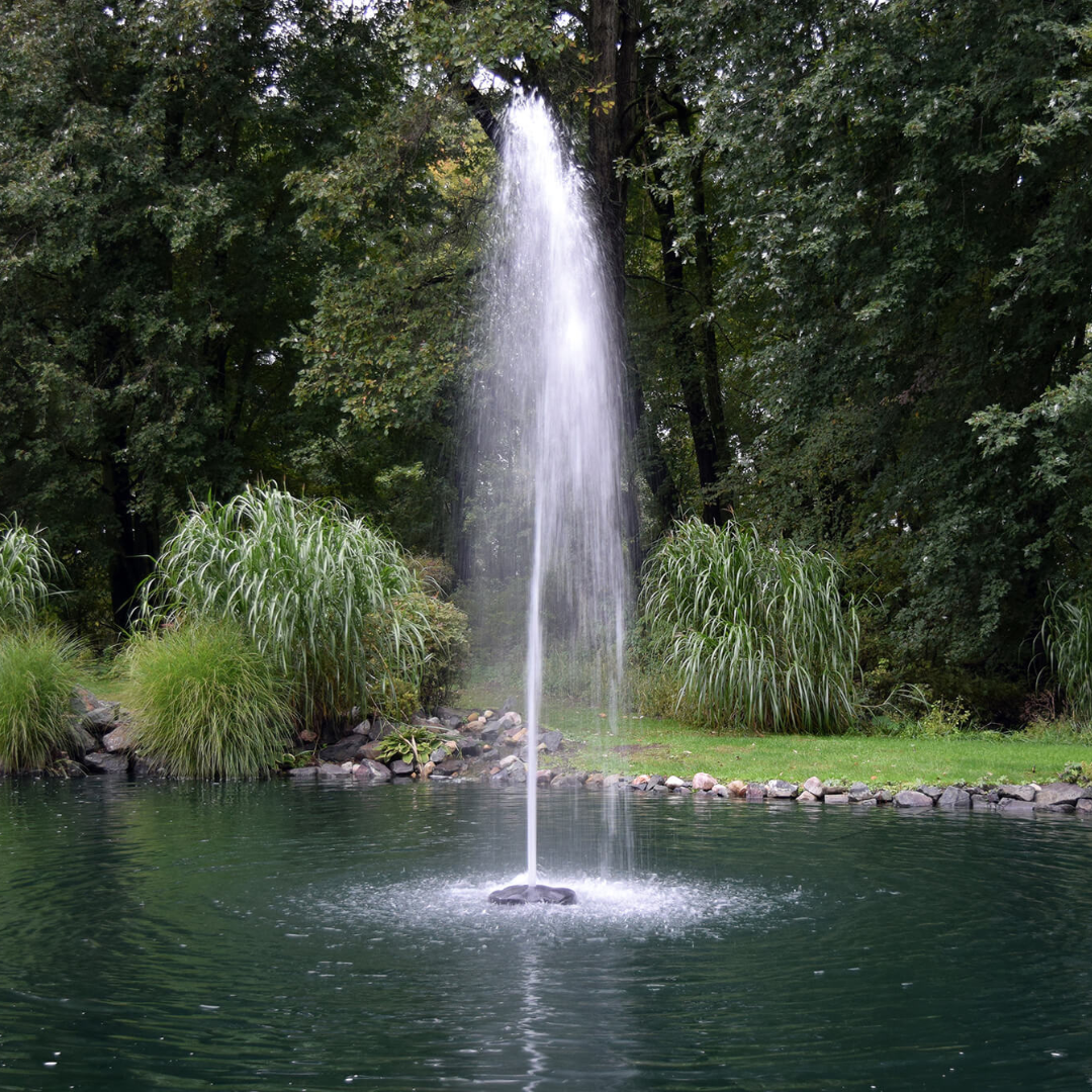 Fountain shooting water into a pond surrounded by grass and trees.