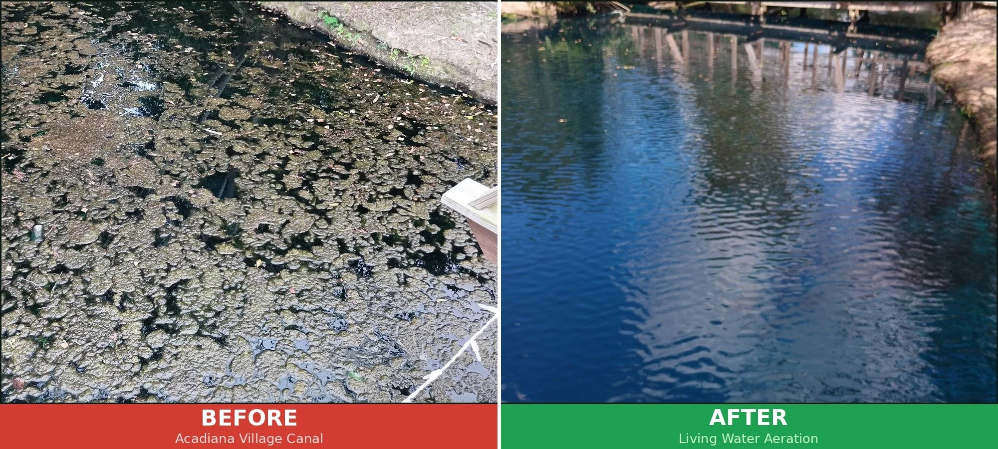 Before and after pond aeration in Acadiana, Louisiana: algae-covered canal on the left, crystal clear water on the right
