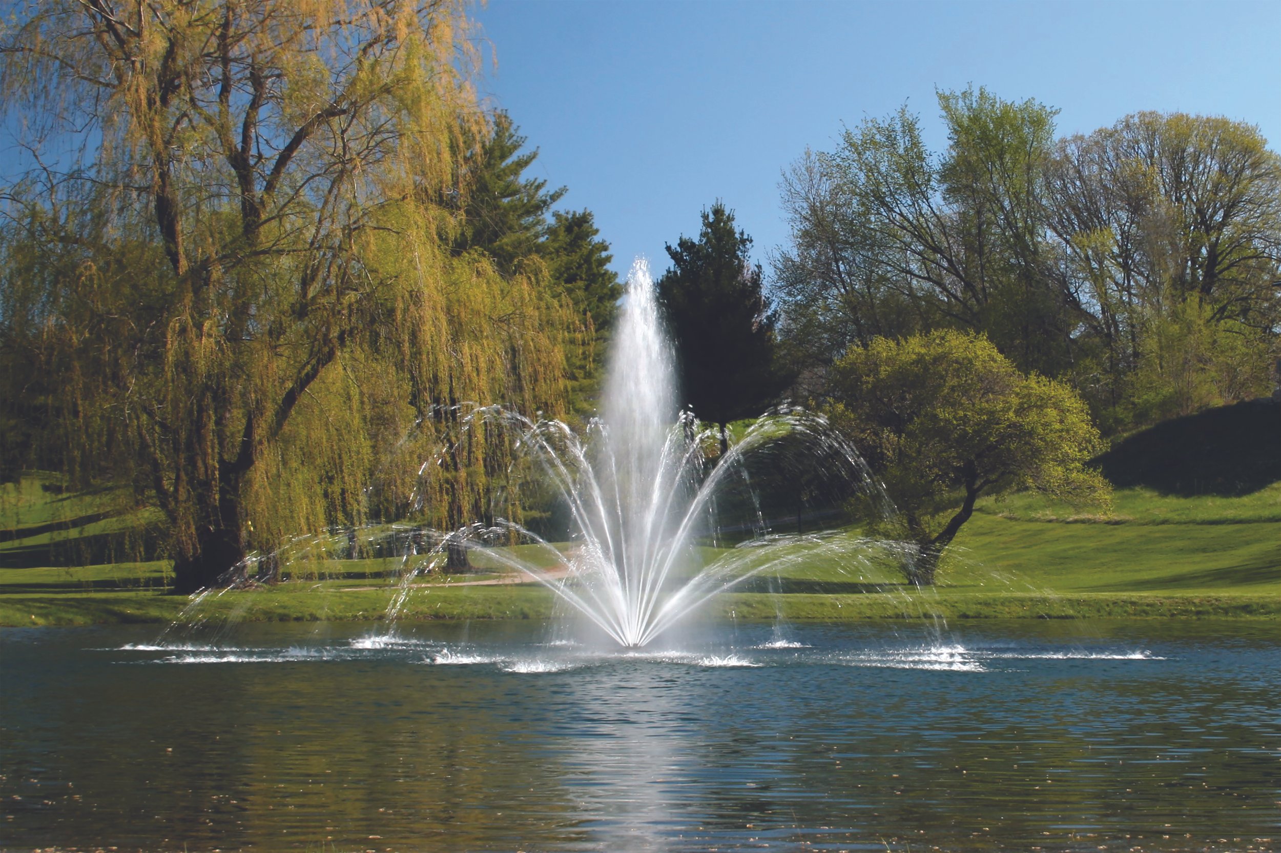 A park scene with a fountain in a pond surrounded by green grass and tall trees, with a clear blue sky overhead.