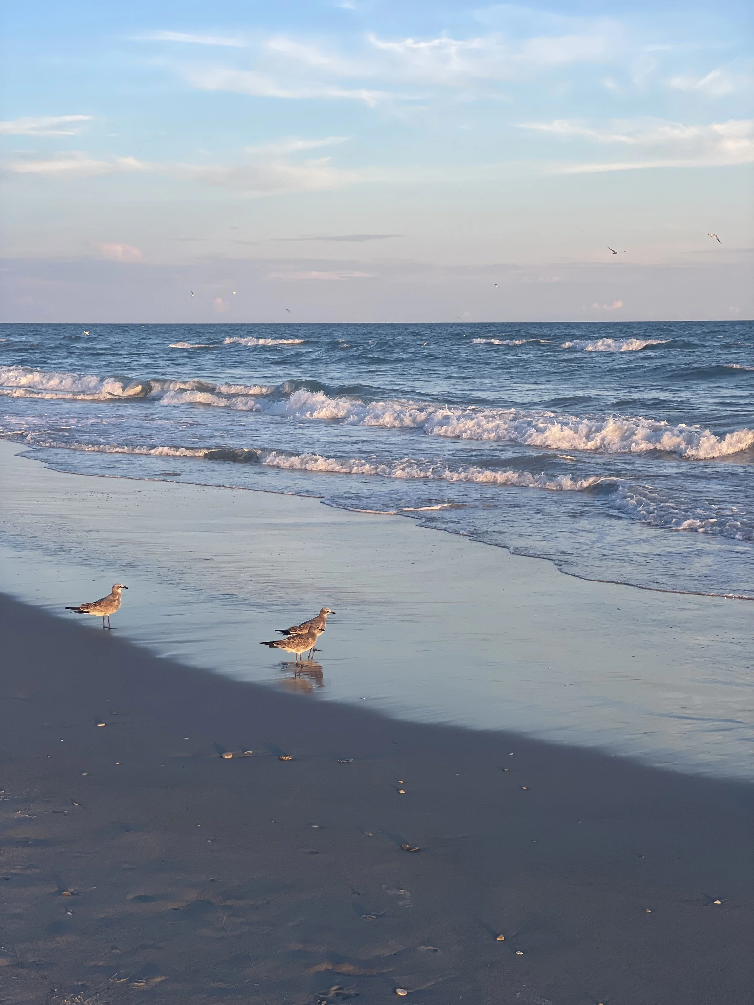 THE OCEAN