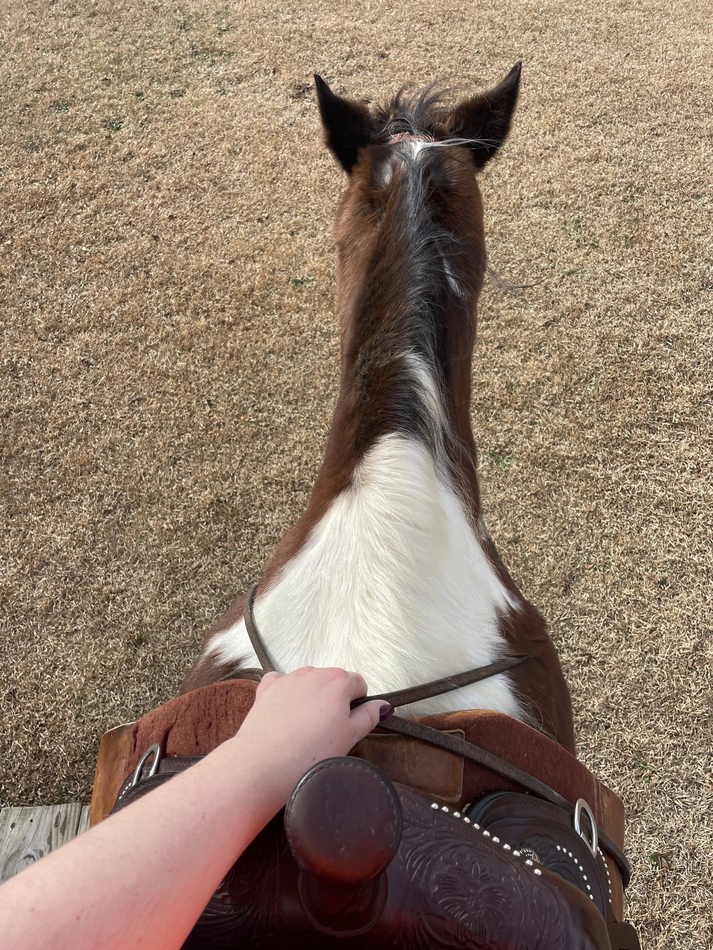 HORSEBACK RIDING