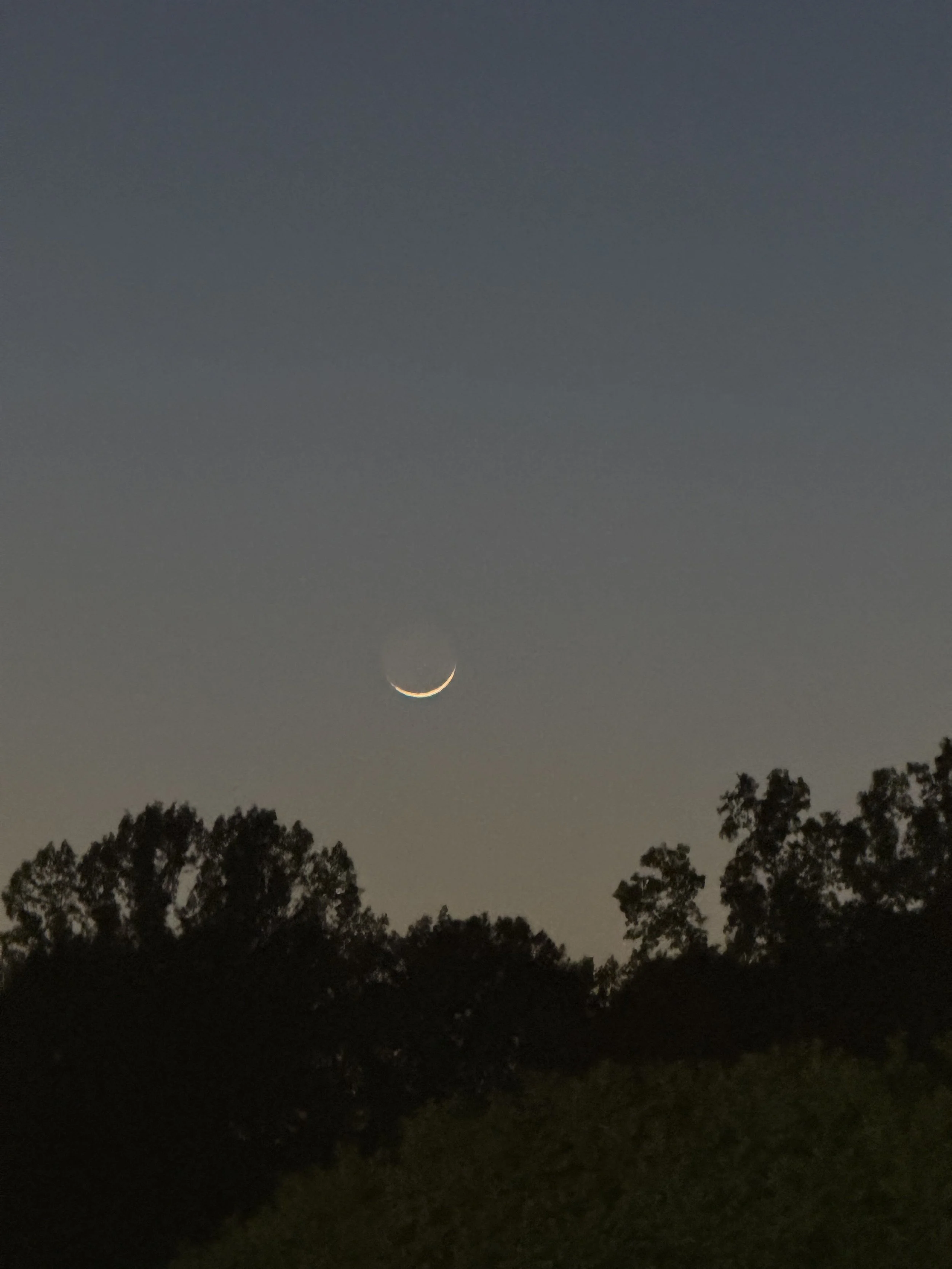 THE MOON
