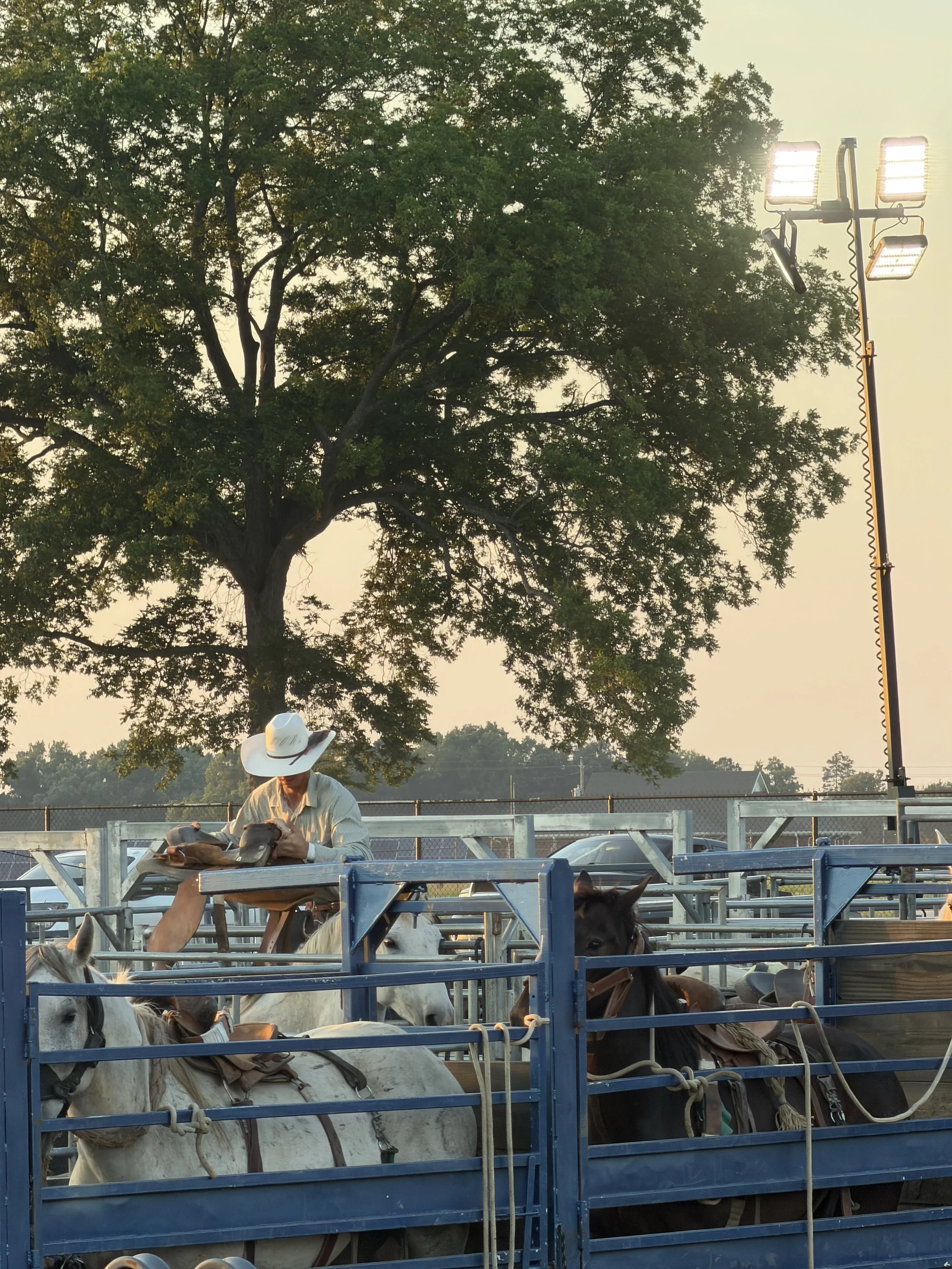 RODEOS