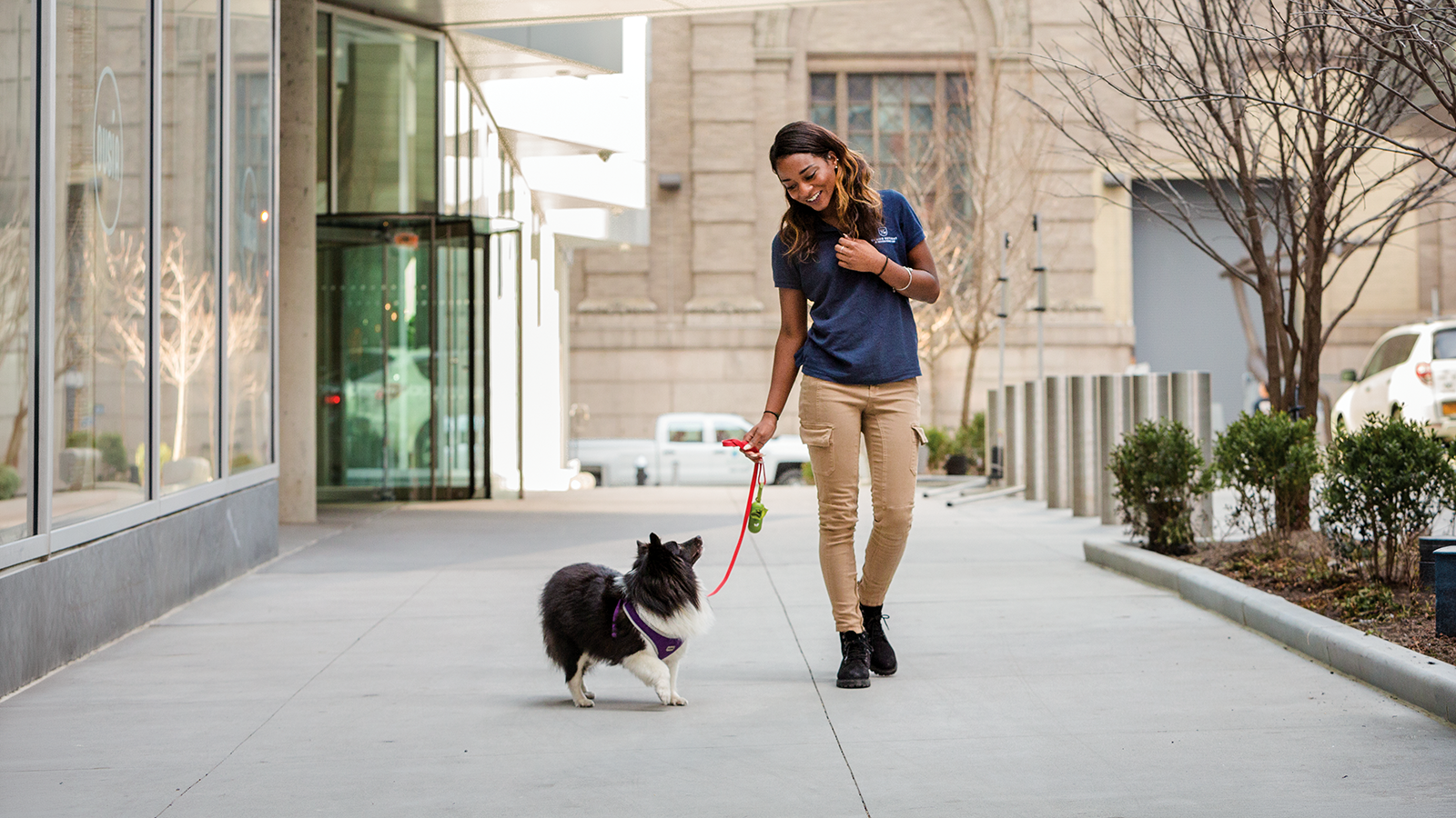 AKC Canine Retreat team member walking a small dog outside the facility.