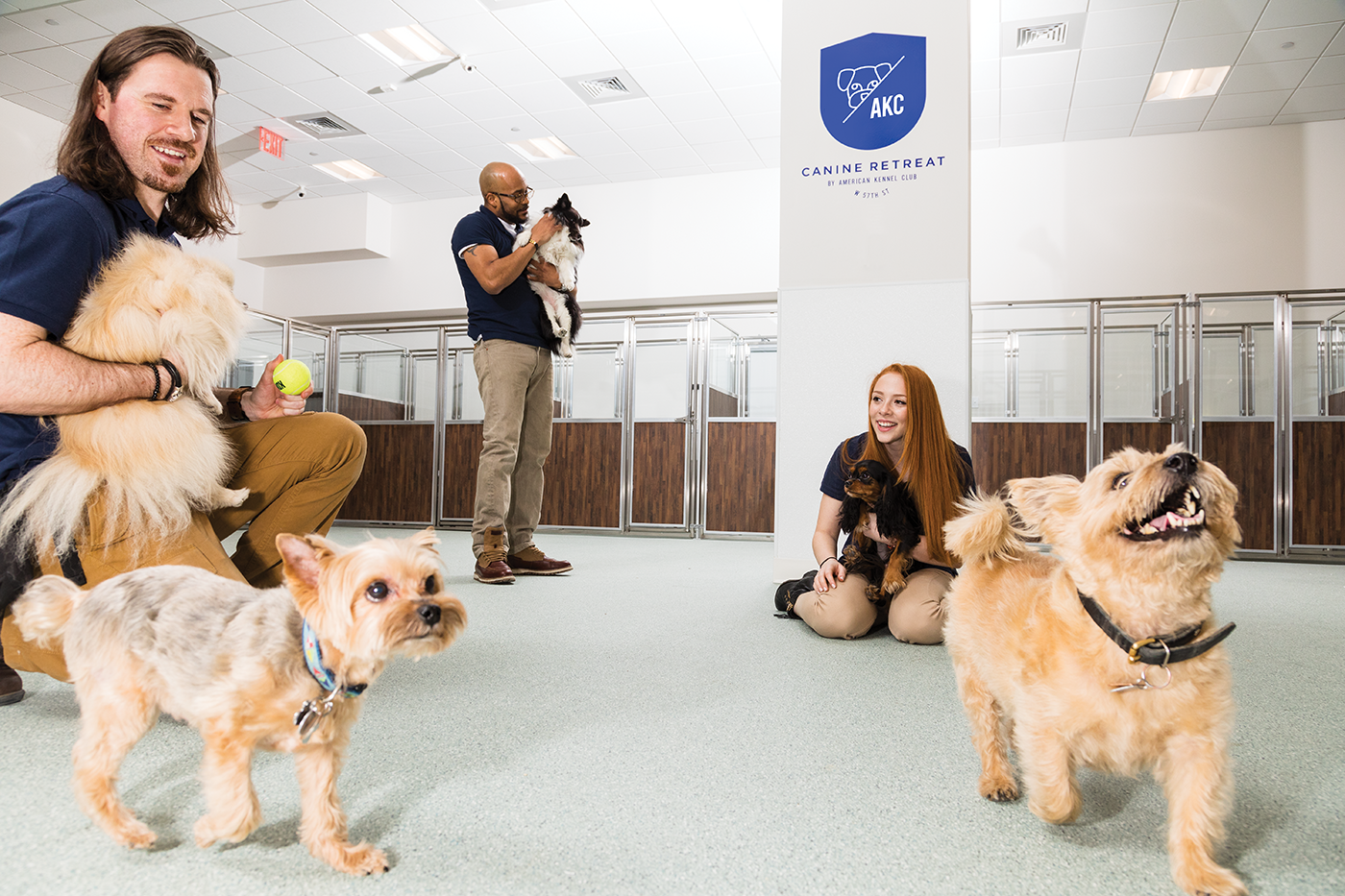 AKC Canine Retreat team members caring for dogs in the branded indoor play area.