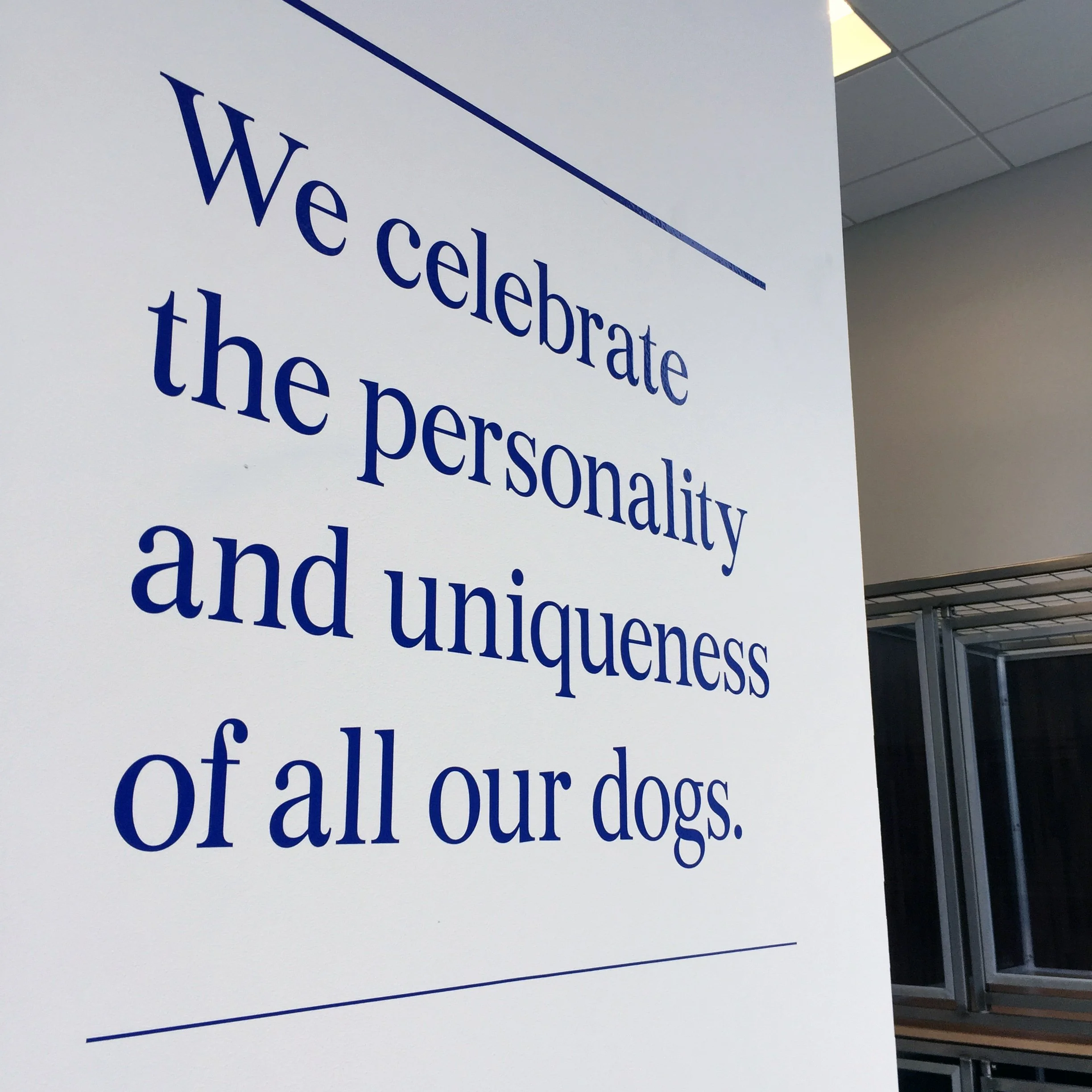 AKC Canine Retreat interior wall graphic celebrating the personality and uniqueness of dogs.