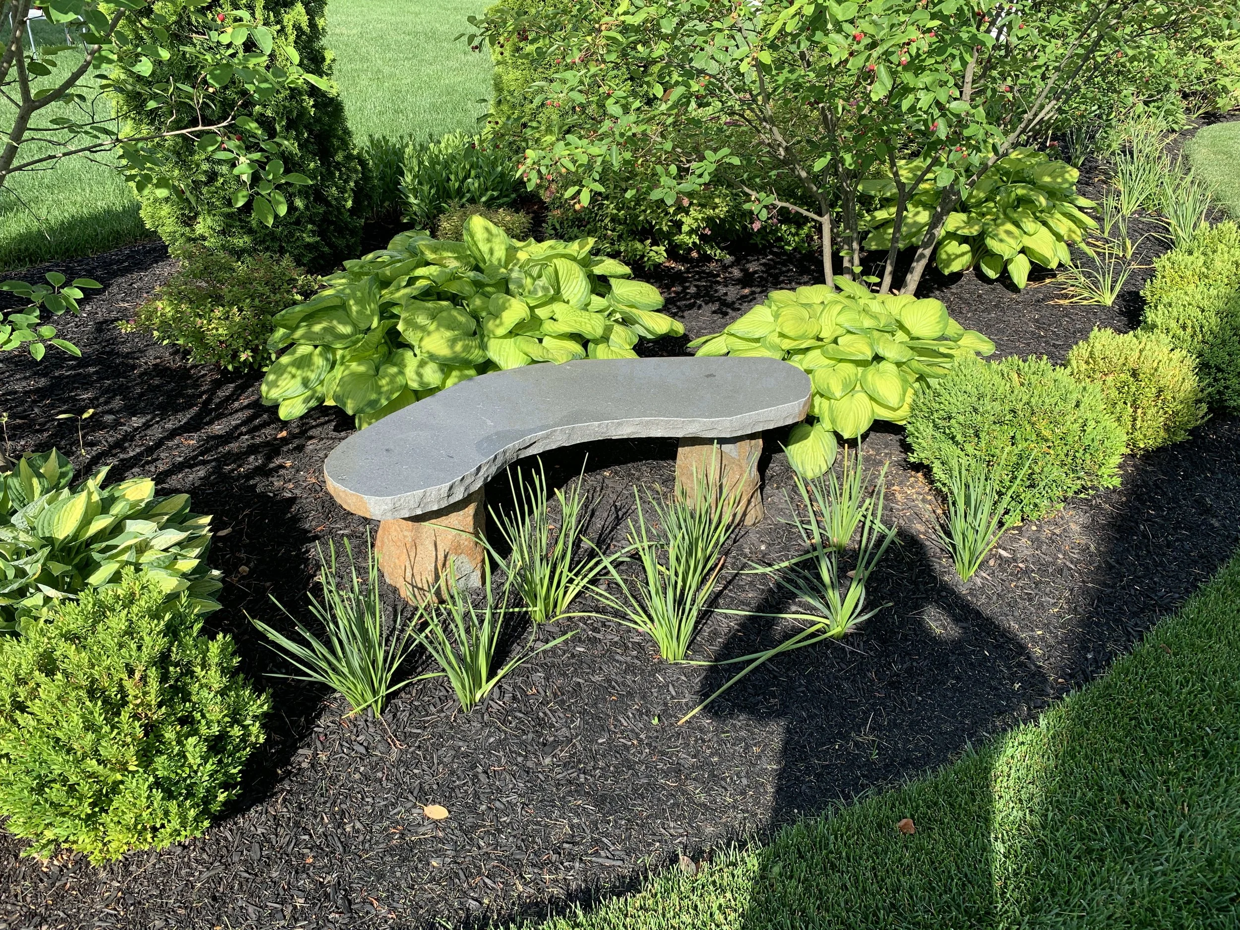 How Professional Landscape Design Increases Your Home's Value