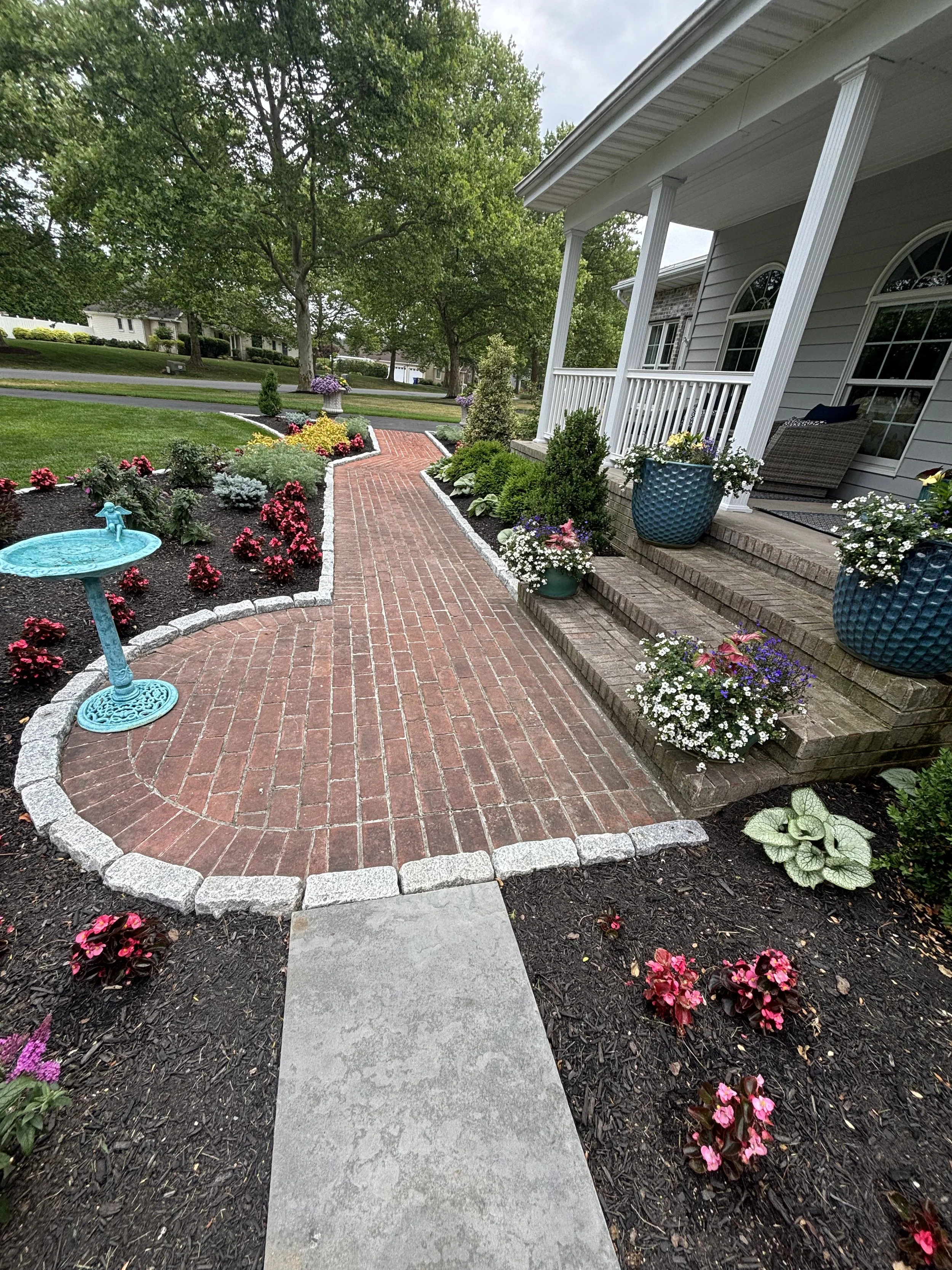 IMG_6541.jpg