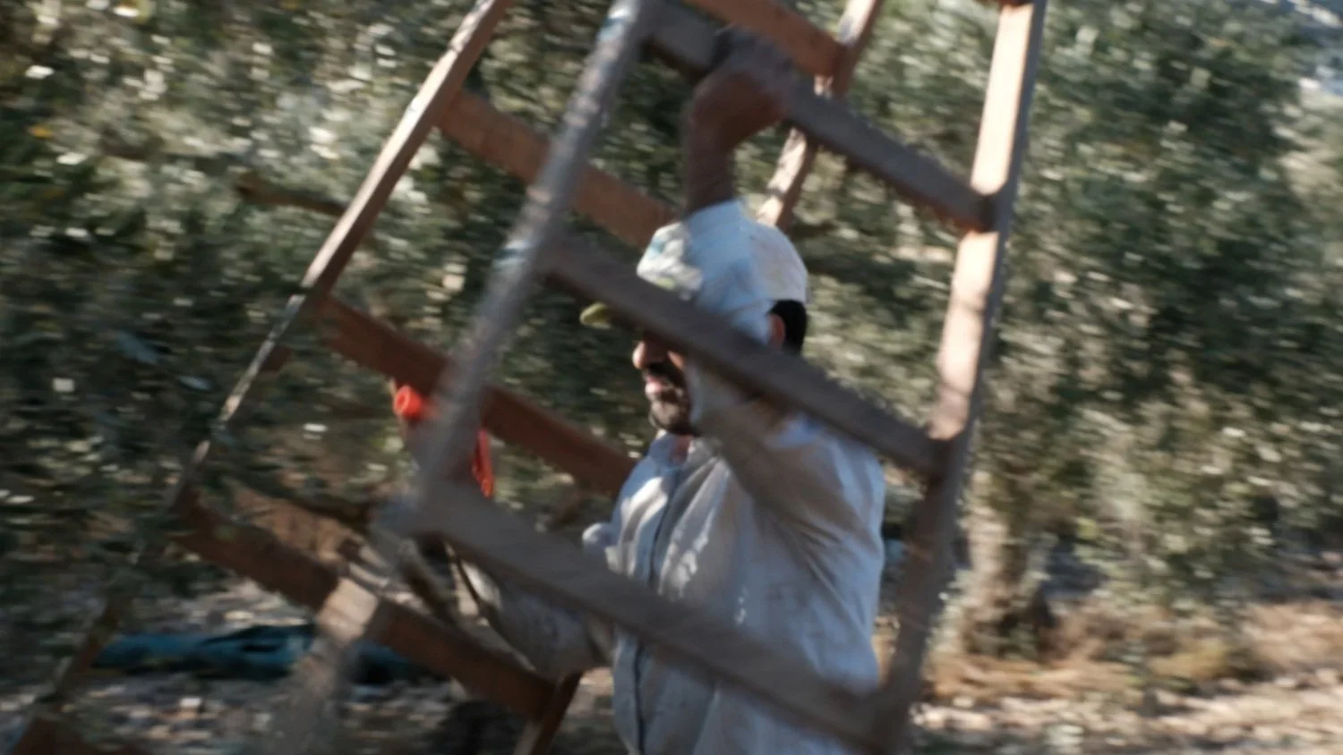 Tareq Eed hurridly rushes with his ladder to the next olive tree. A resident of Burin, he takes time off his normal job at the Palestinian National Security to work on the harvest. "To me picking olives is a different kind of resistance," says Mr. Ee