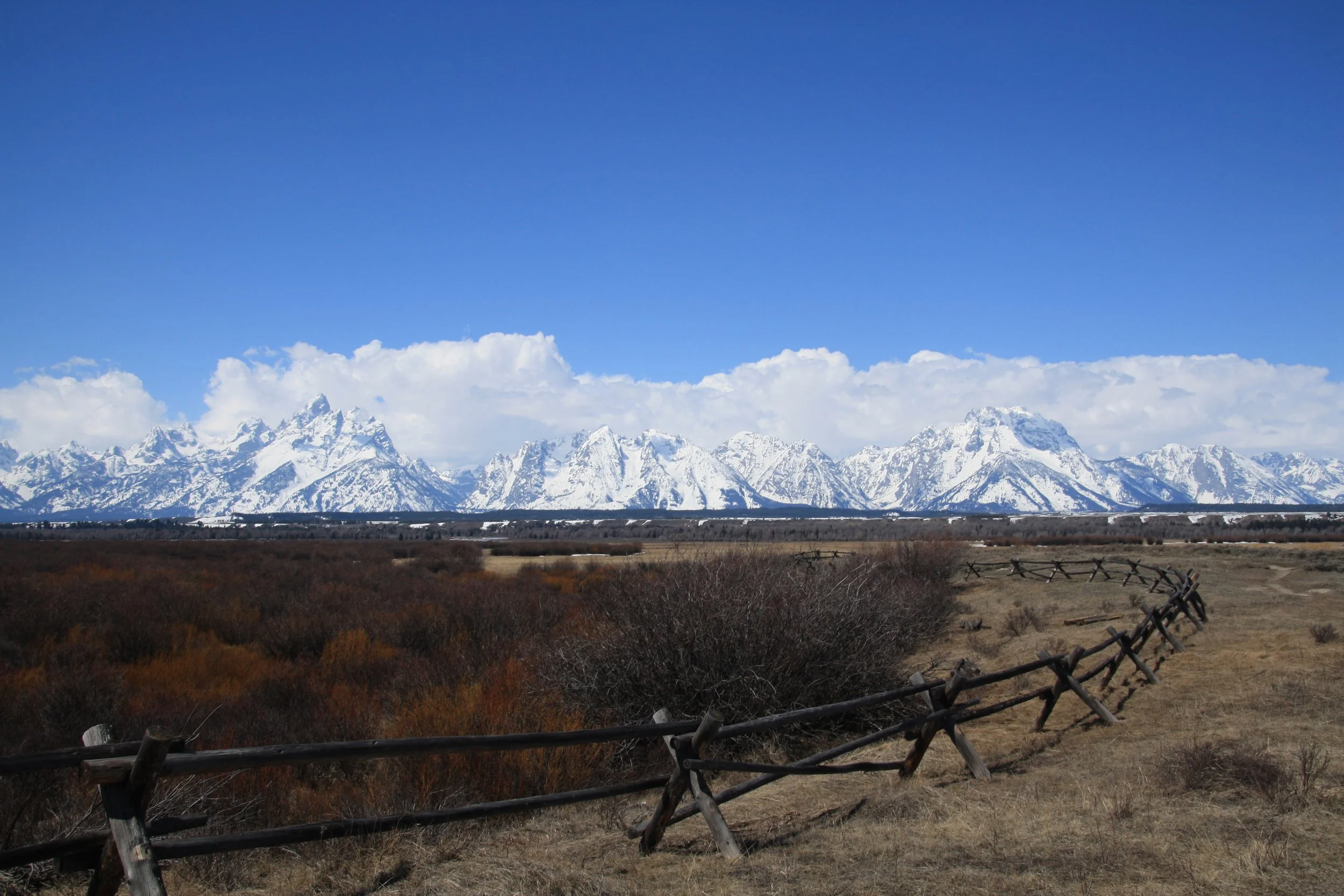 Pathway in the Tetons