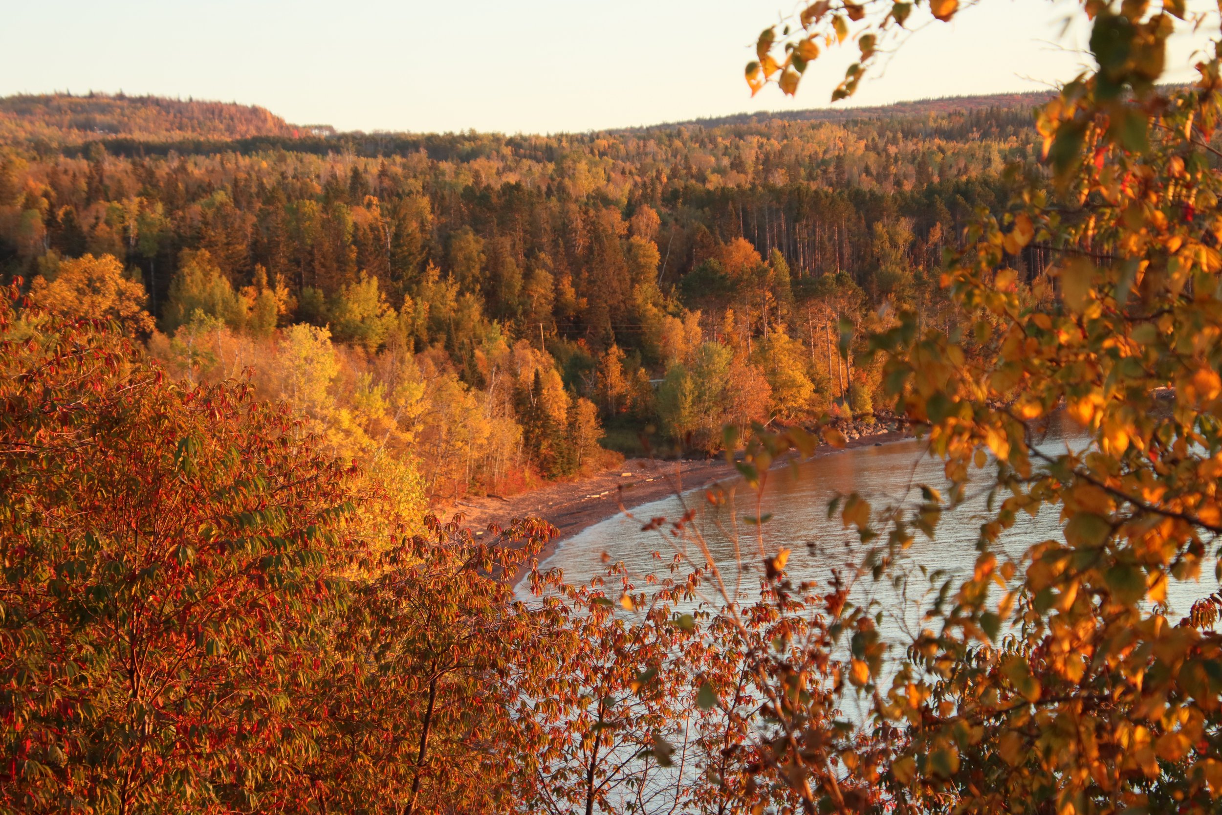 fall leaves-2.jpg
