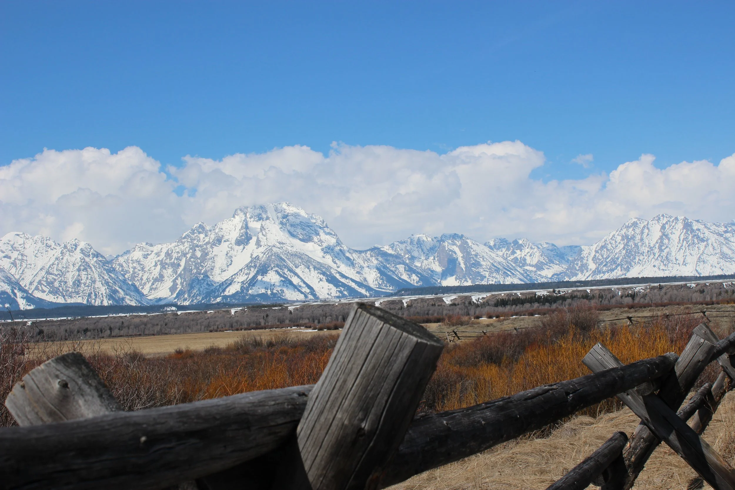 fence mountains.JPG