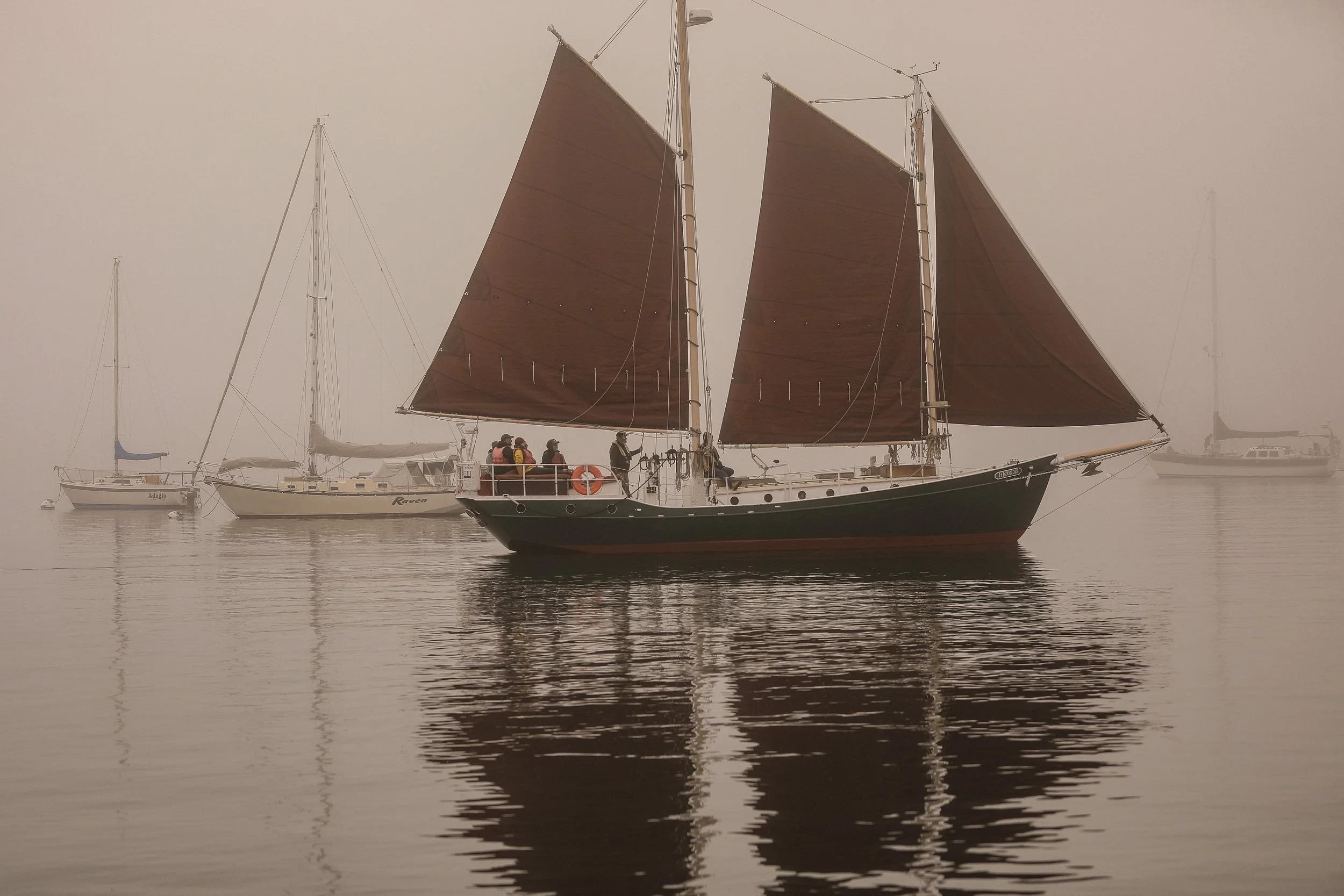 Ships smothered with fog