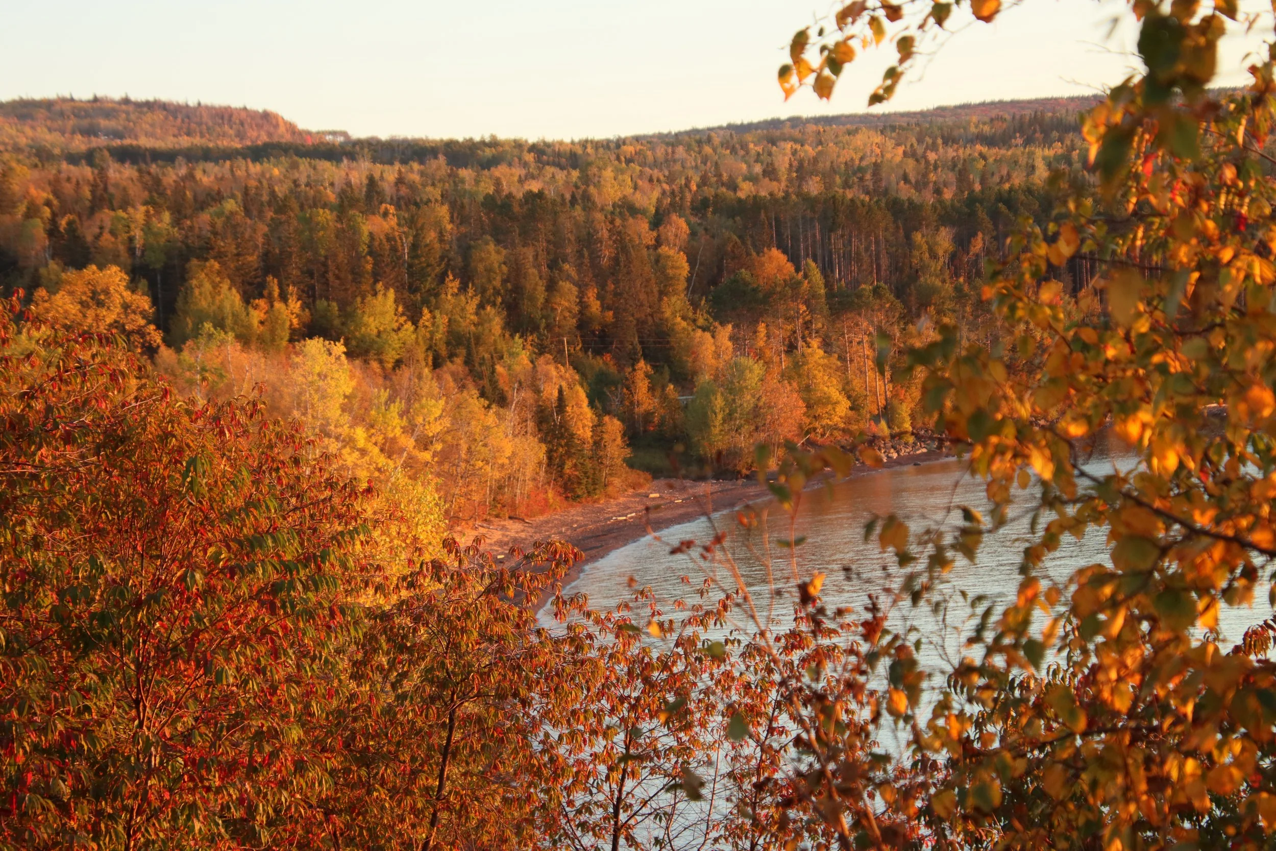 The changing of the leaves