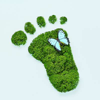 The Business Case for BREEAM: Beyond Compliance