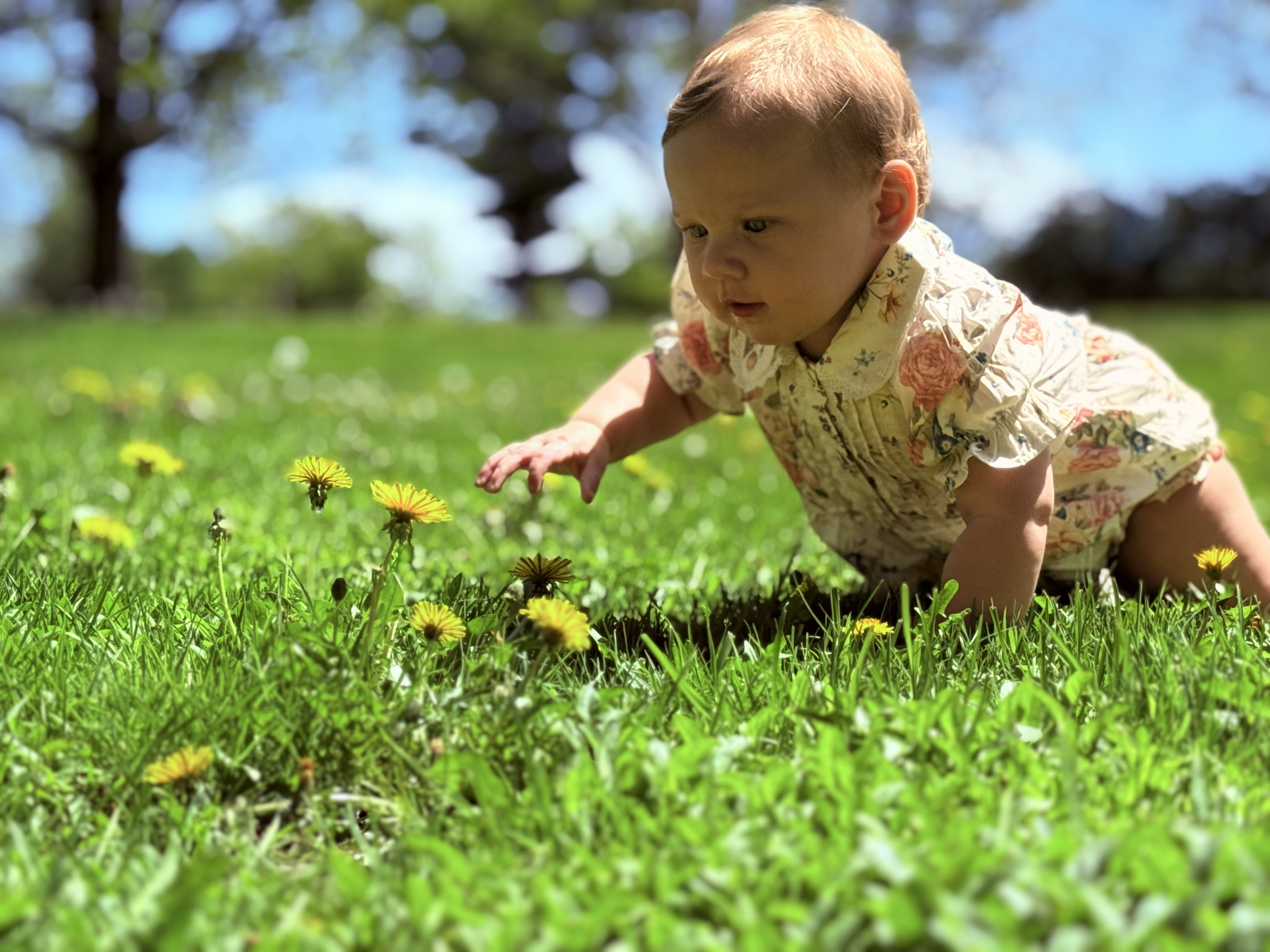 IMG_20260517_132123.png