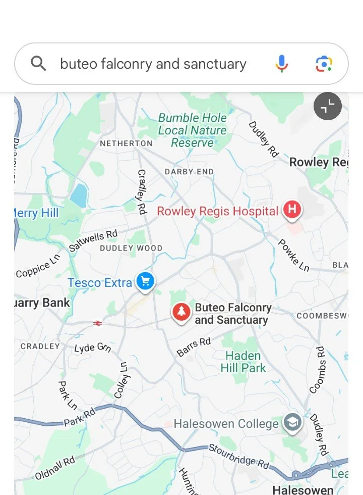 Map showing location of Buteo Falconry and Sanctuary near Halesowen, with nearby landmarks including Tesco Extra store, Rowley Regis Hospital, and Haden Hill Park.