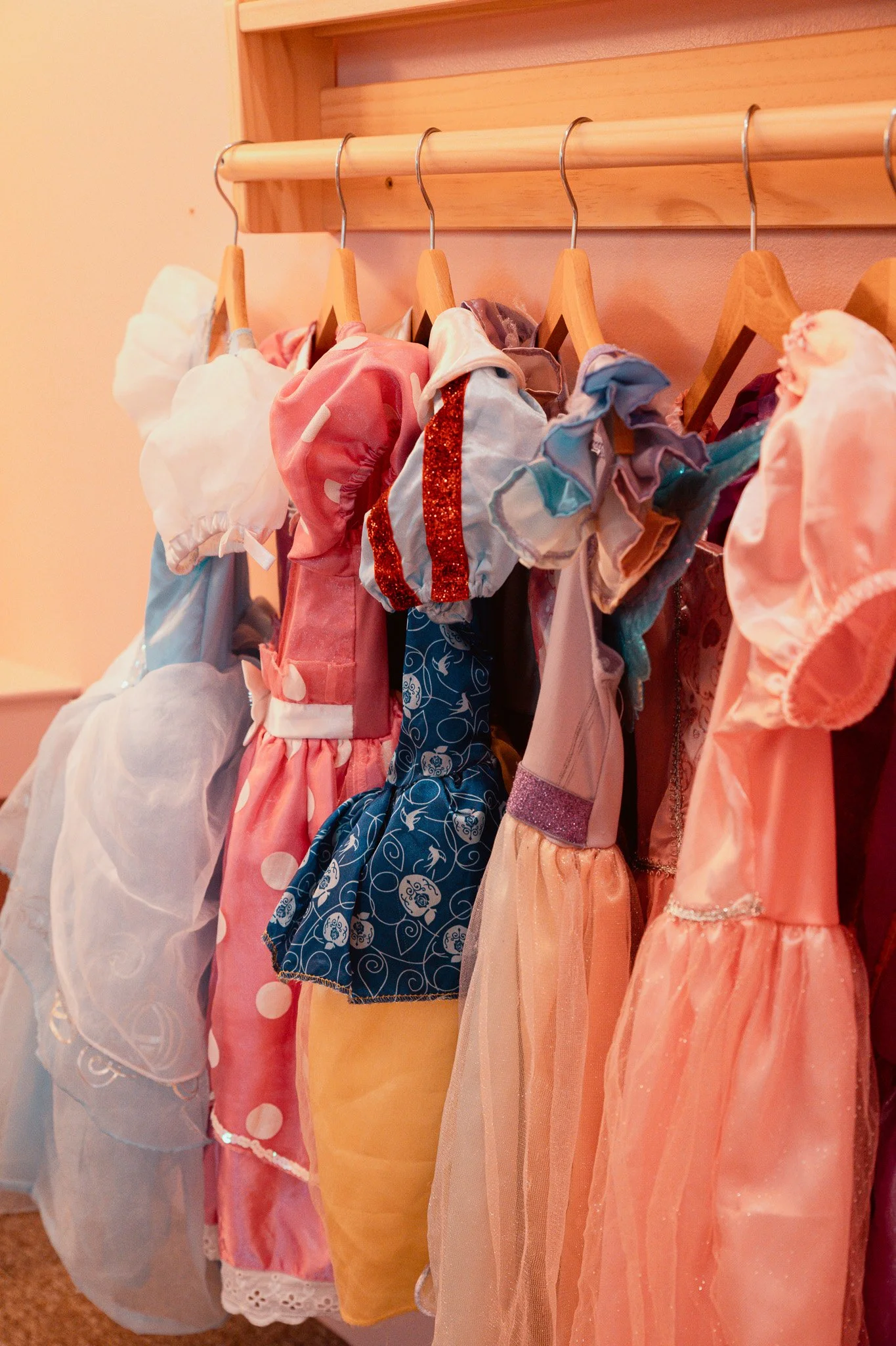 Princess dressing up dresses