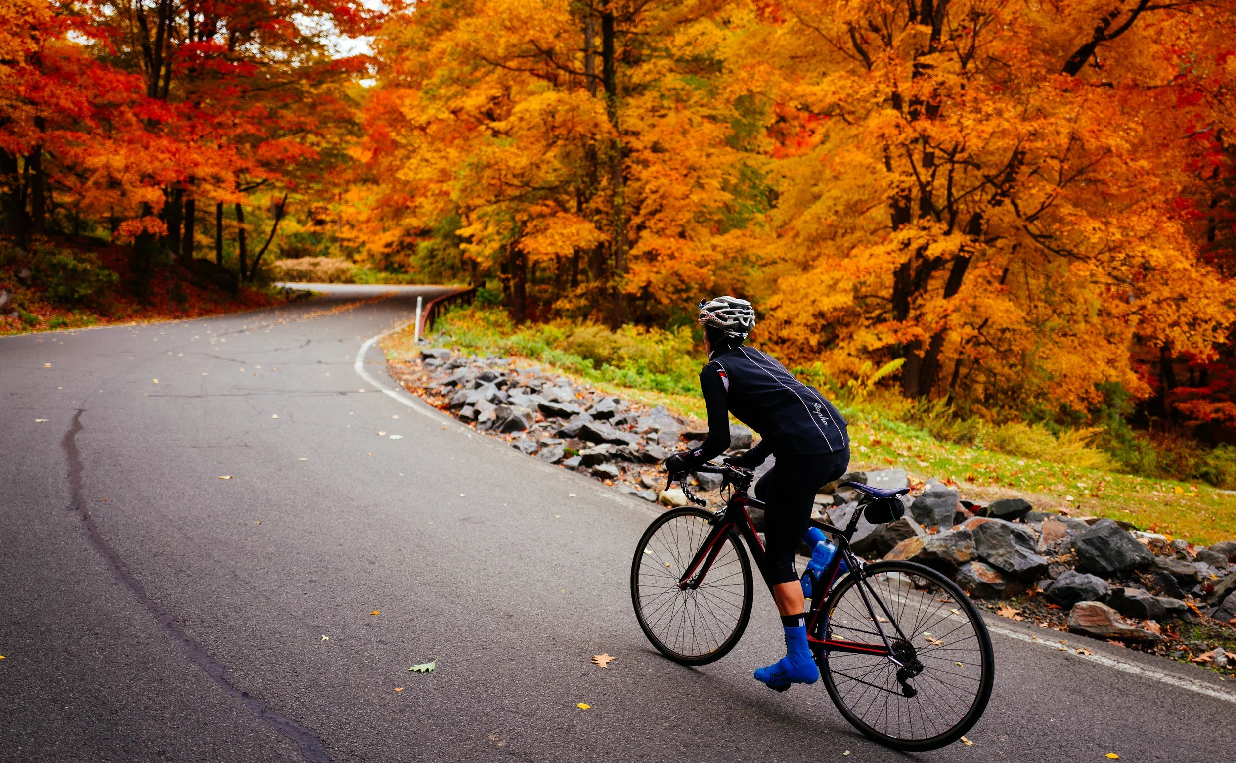 A cyclist riding along a winding road surrounded by trees with orange, yellow, and red fall foliage.