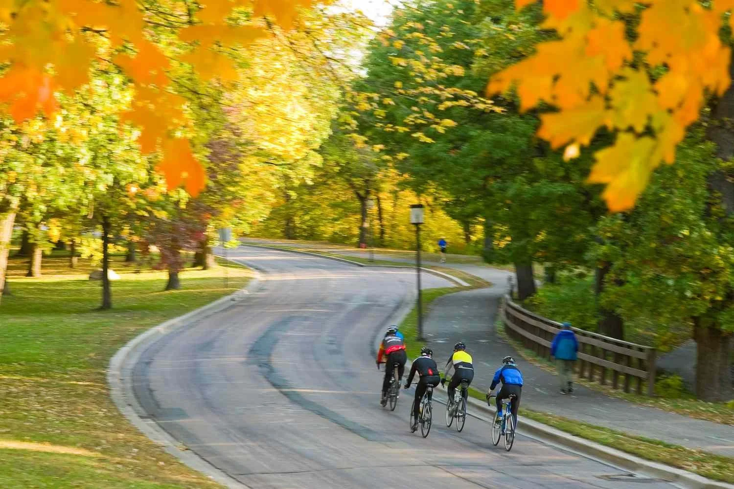Four cyclists riding uphill on a winding park trail surrounded by trees with autumn leaves.