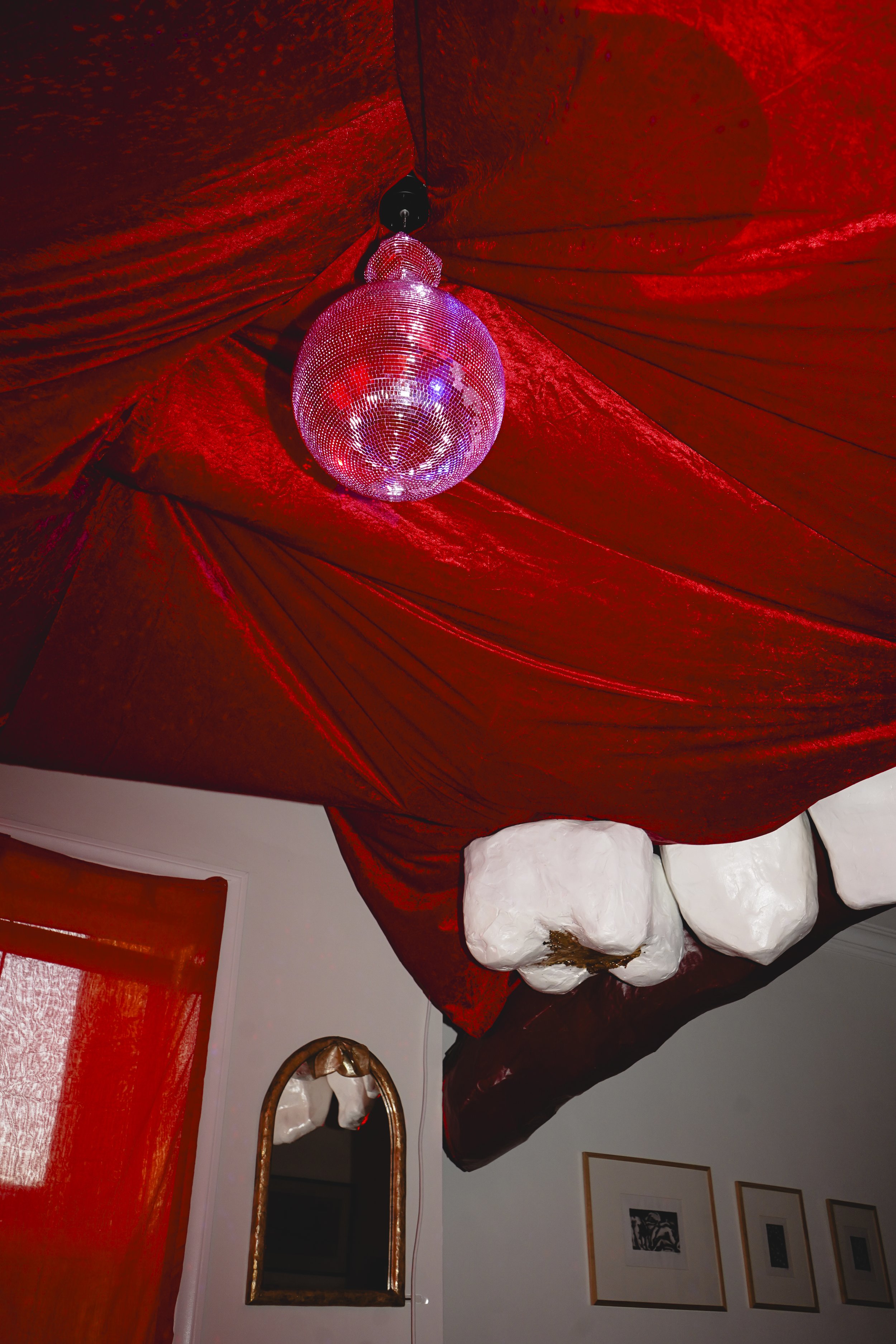 DSC07330.jpg