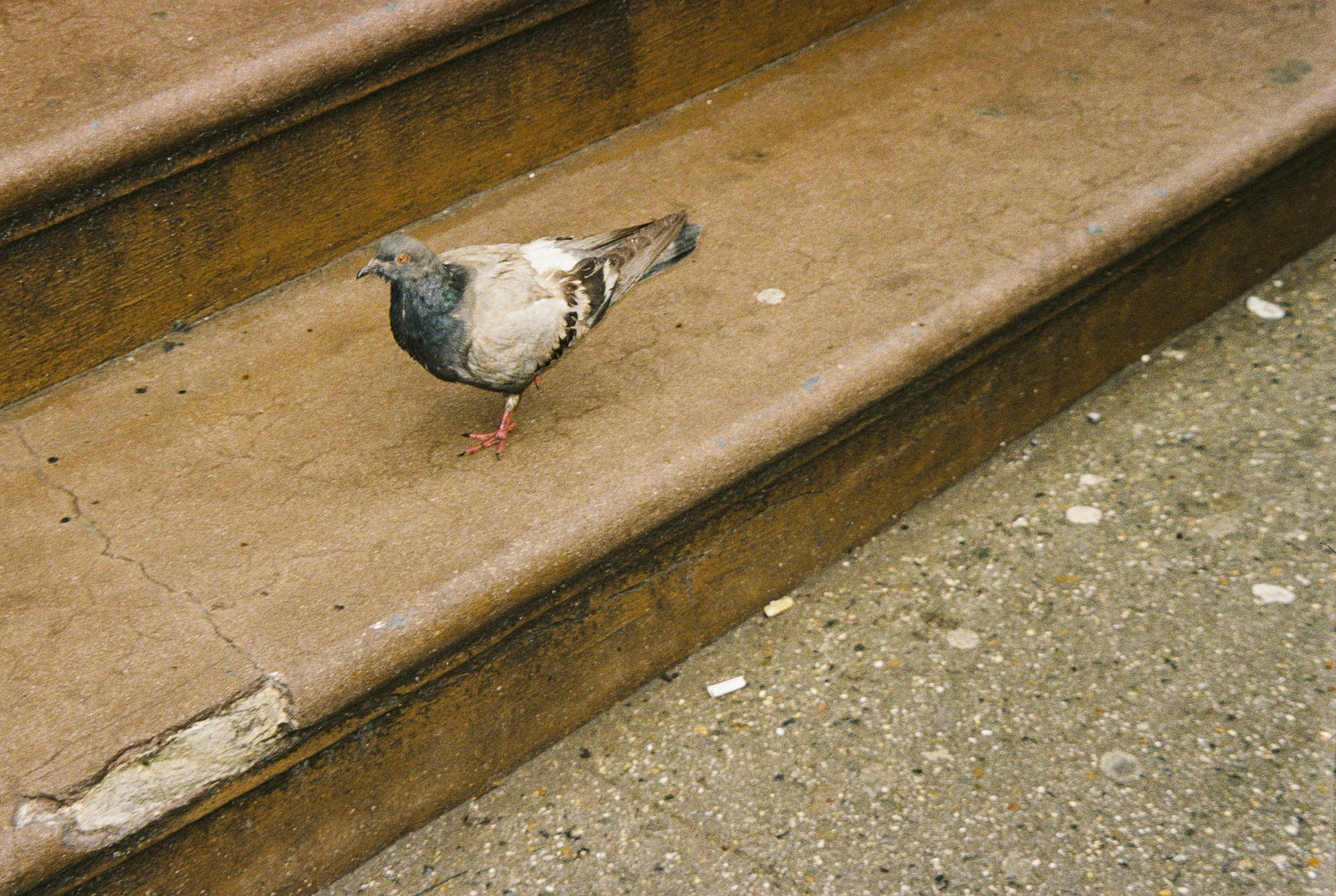 39309ad000014-R1-068-32A.jpg