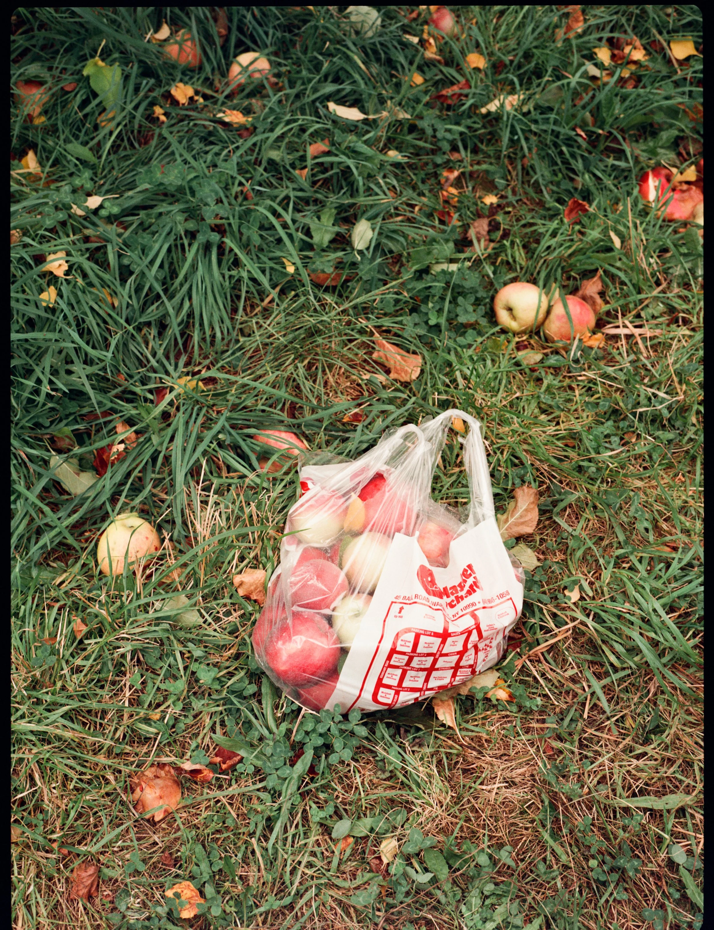 IMG_9610.jpeg