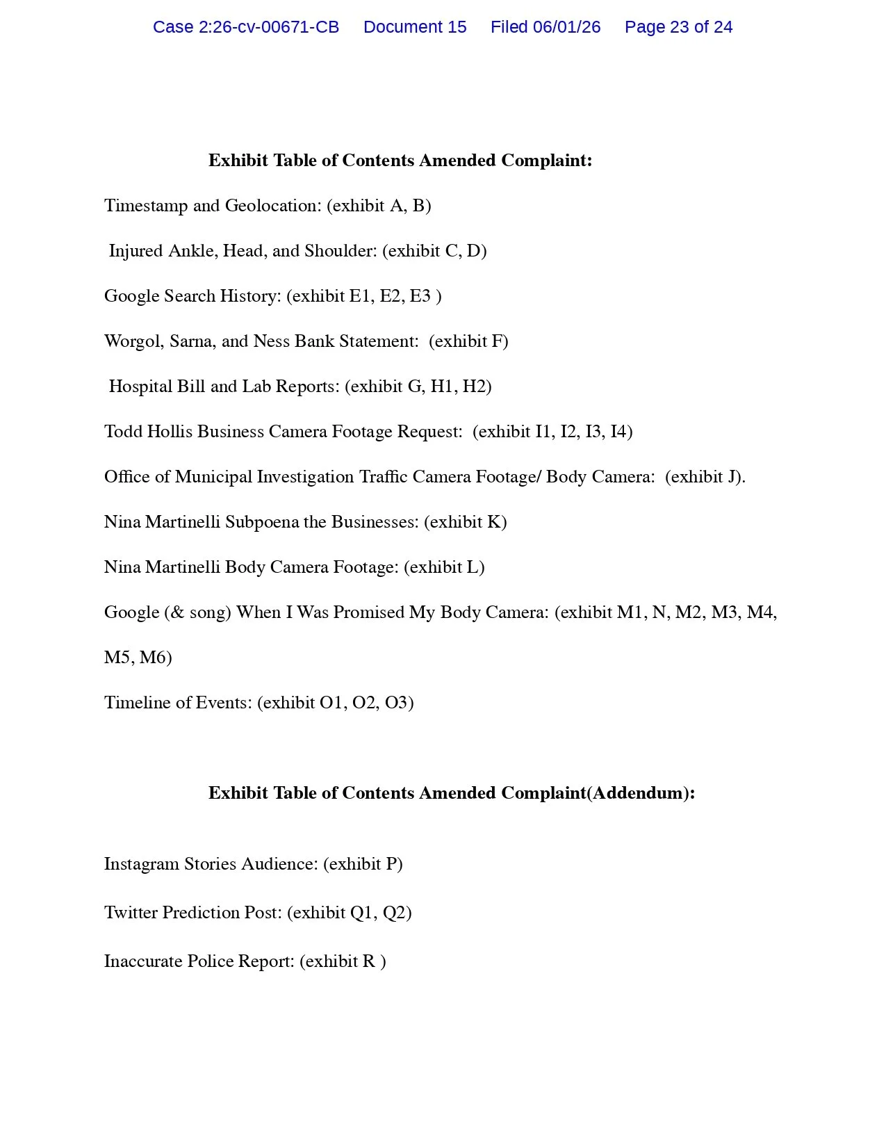 squarespace police misconduct 1_page-0023.jpg