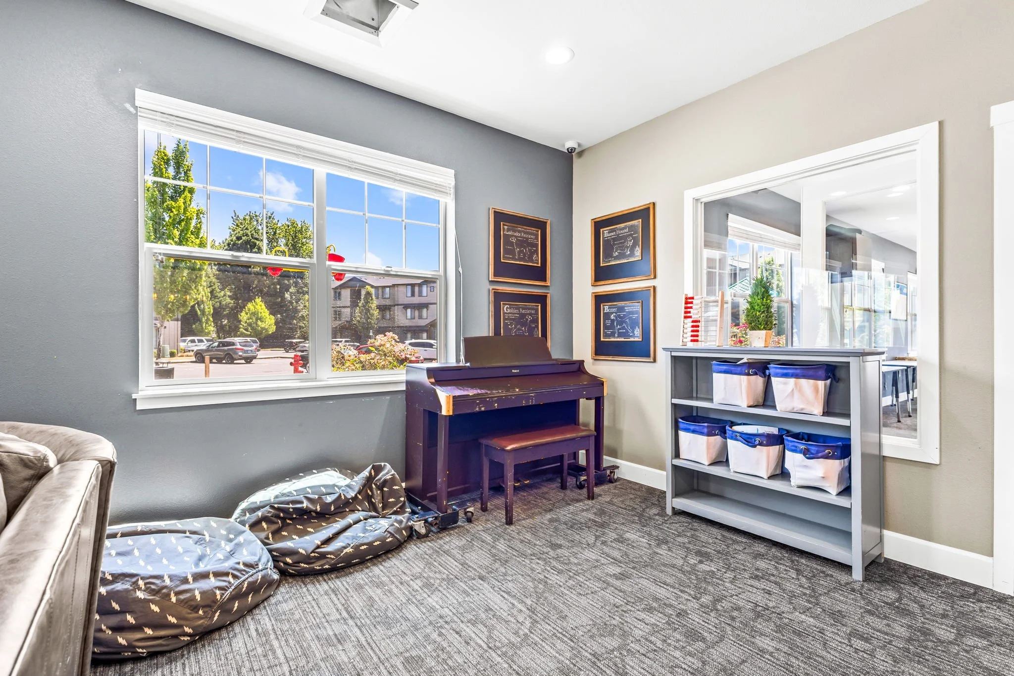 Living room with a large window showing trees and parking lot outside; damaged bean bag chairs on carpeted floor; blue and white shelving unit with storage bins; framed dog breed illustrations on wall; piano with bench near window; sliding door leading to other room.