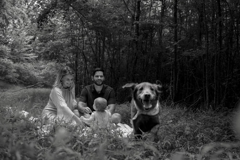 A family of three, a man, woman, and a baby, sitting on the grass in a wooded area with their dog, a happy dog running towards the camera, trees in the background.