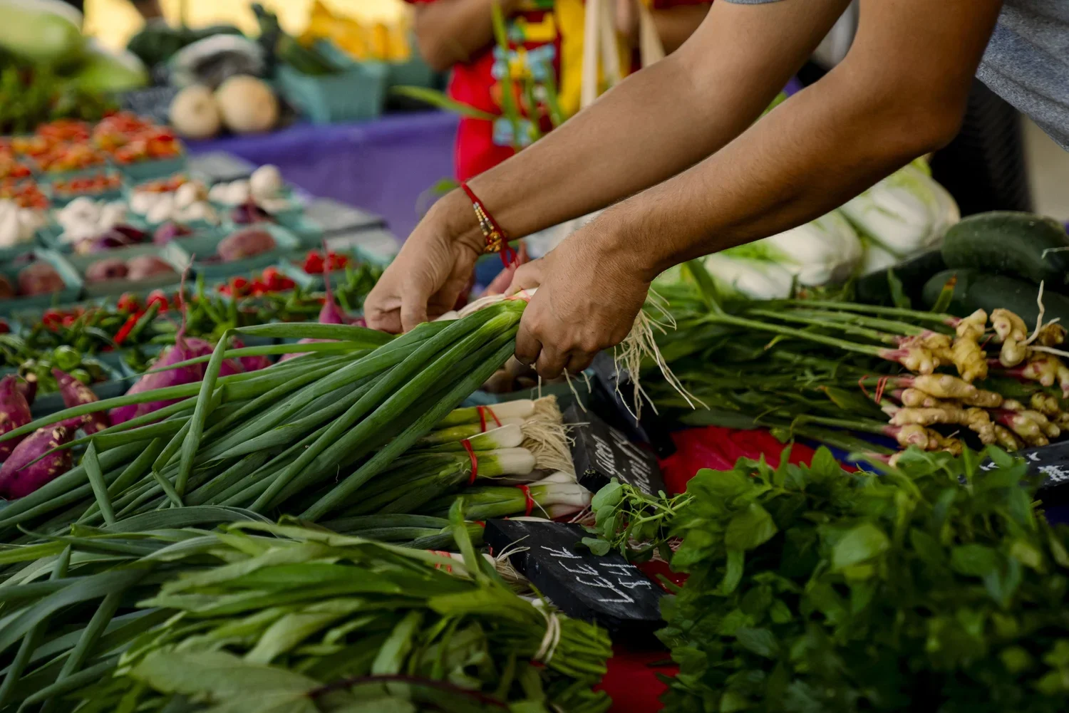 Person arranging green onions at a vibrant farmers market stand with various fresh vegetables in the background.