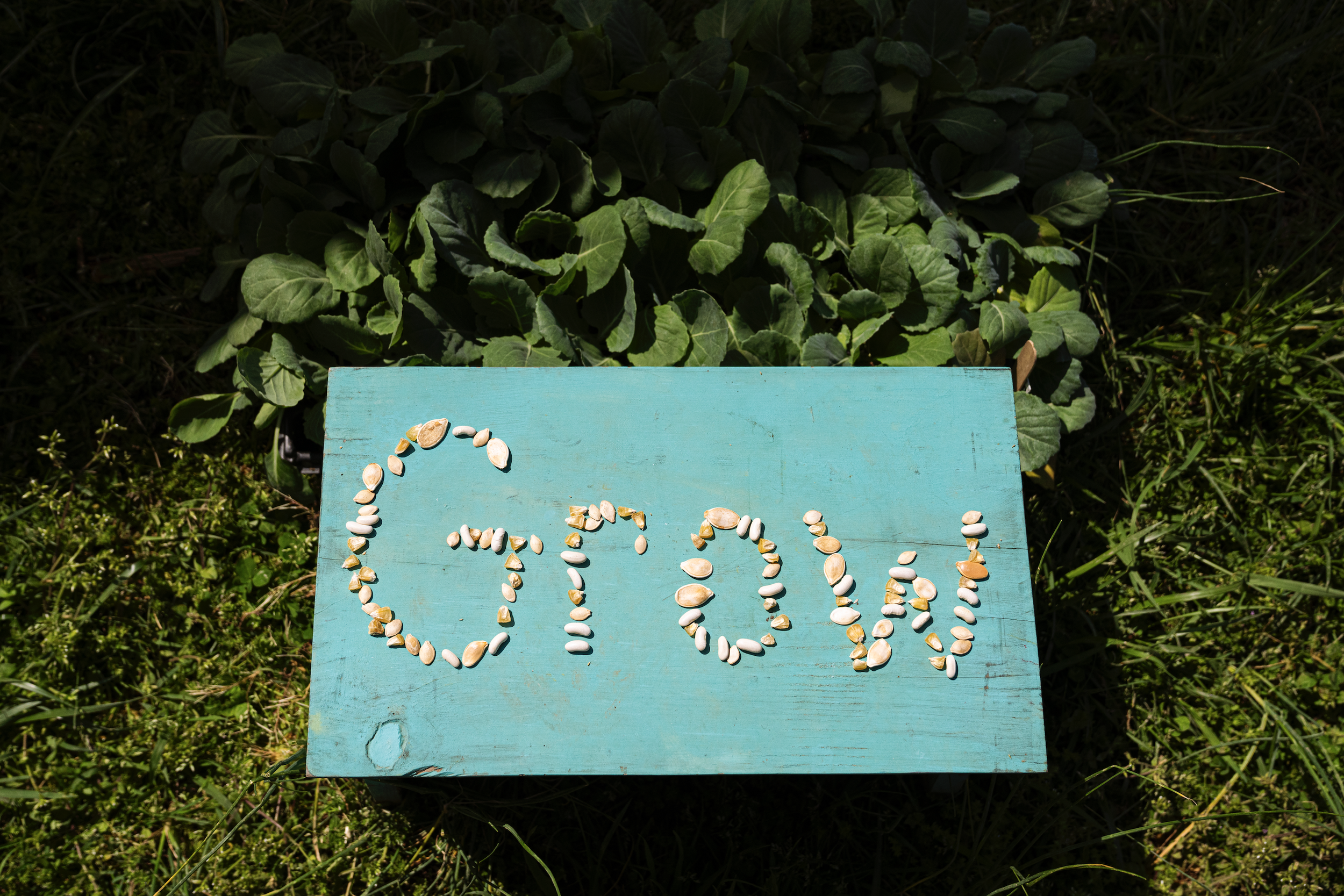 A turquoise wooden board with the word 'ONE' spelled out in white and tan sunflower seeds, set on grass with leafy plants in the background.