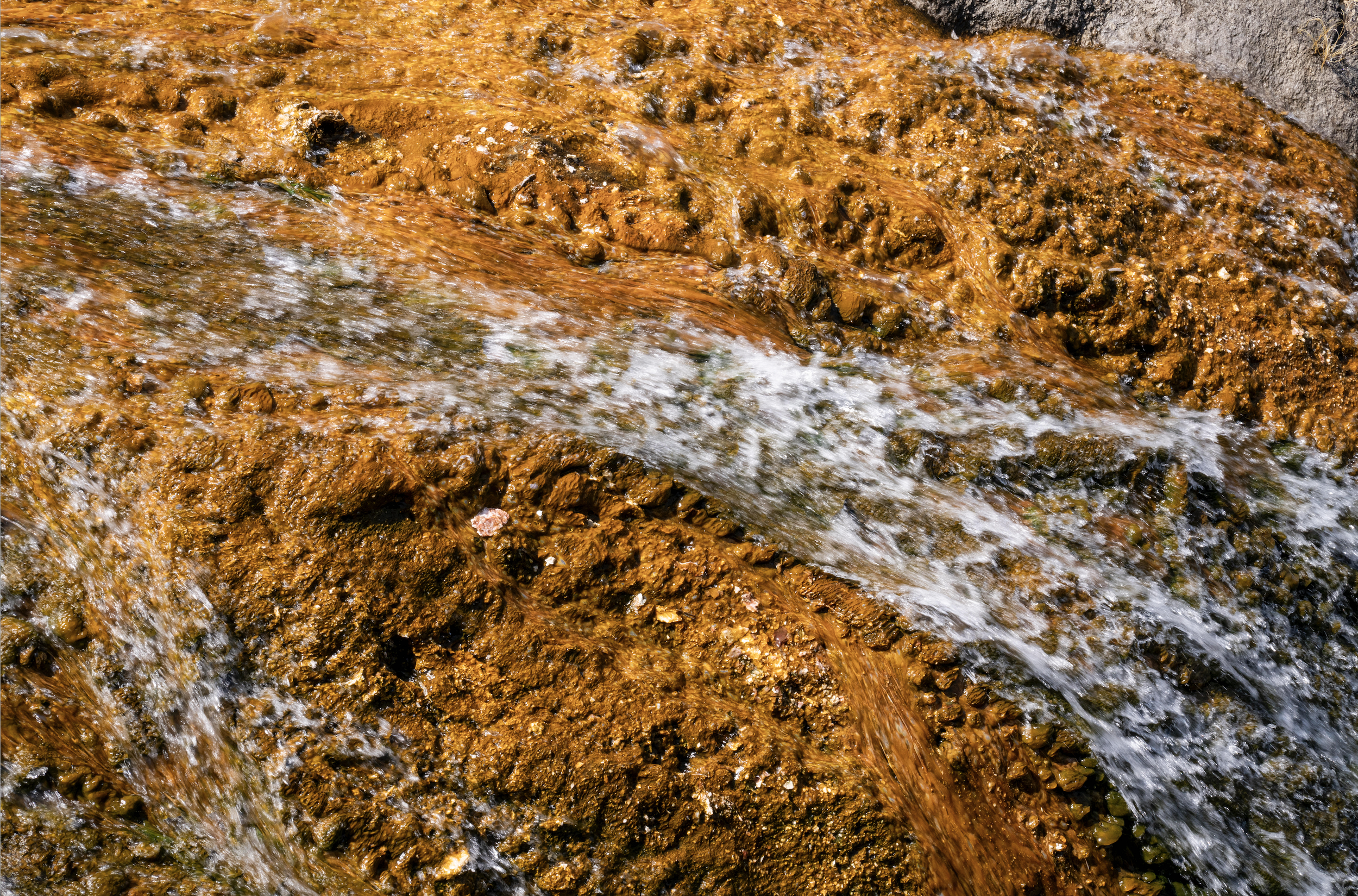Close-up of flowing water over rocks, with brown and gray stones.