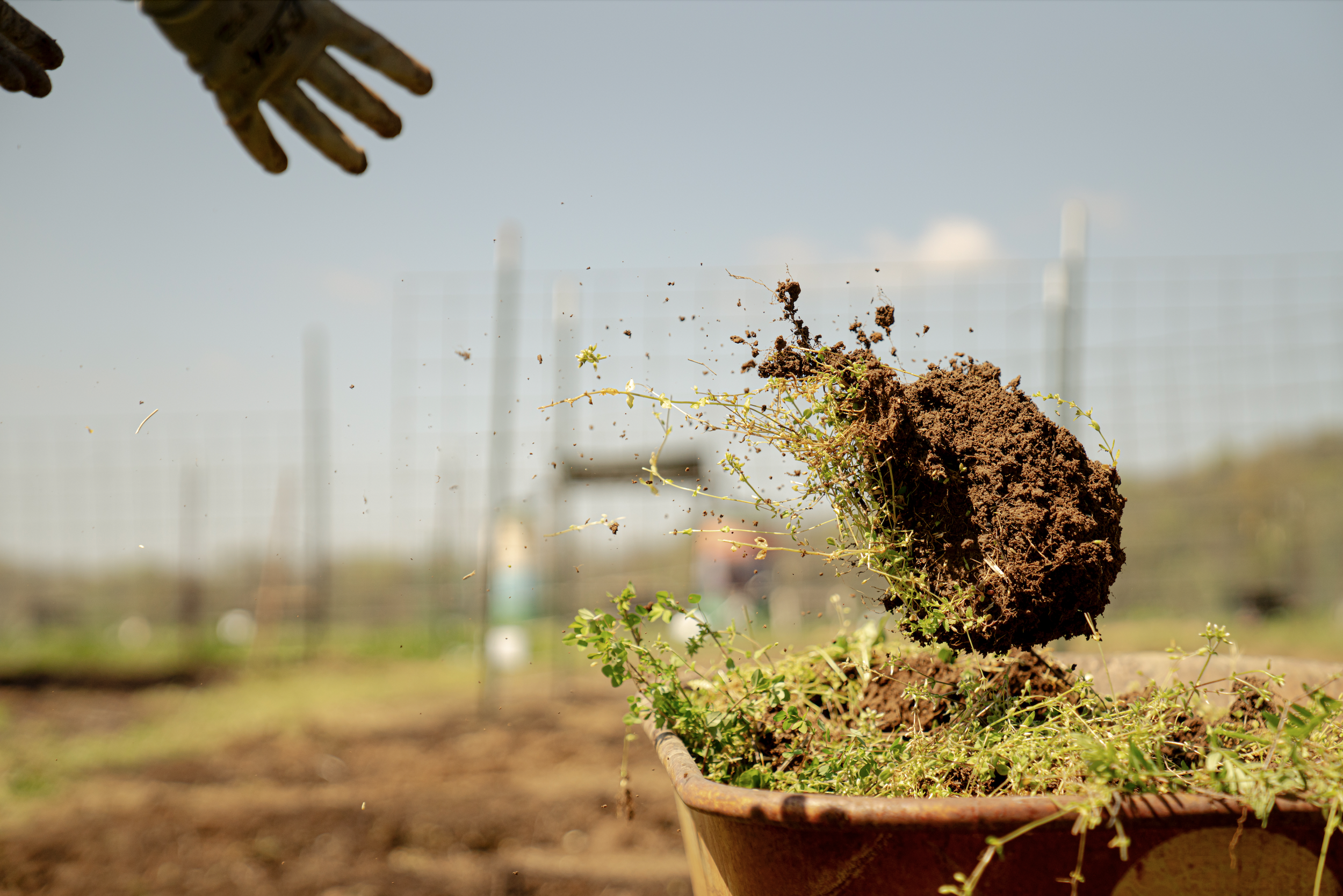 A gardening scene showing a patch of earth with small green plants and a large mound of soil at the center. A piece of machinery with a metal wheel is visible at the bottom.