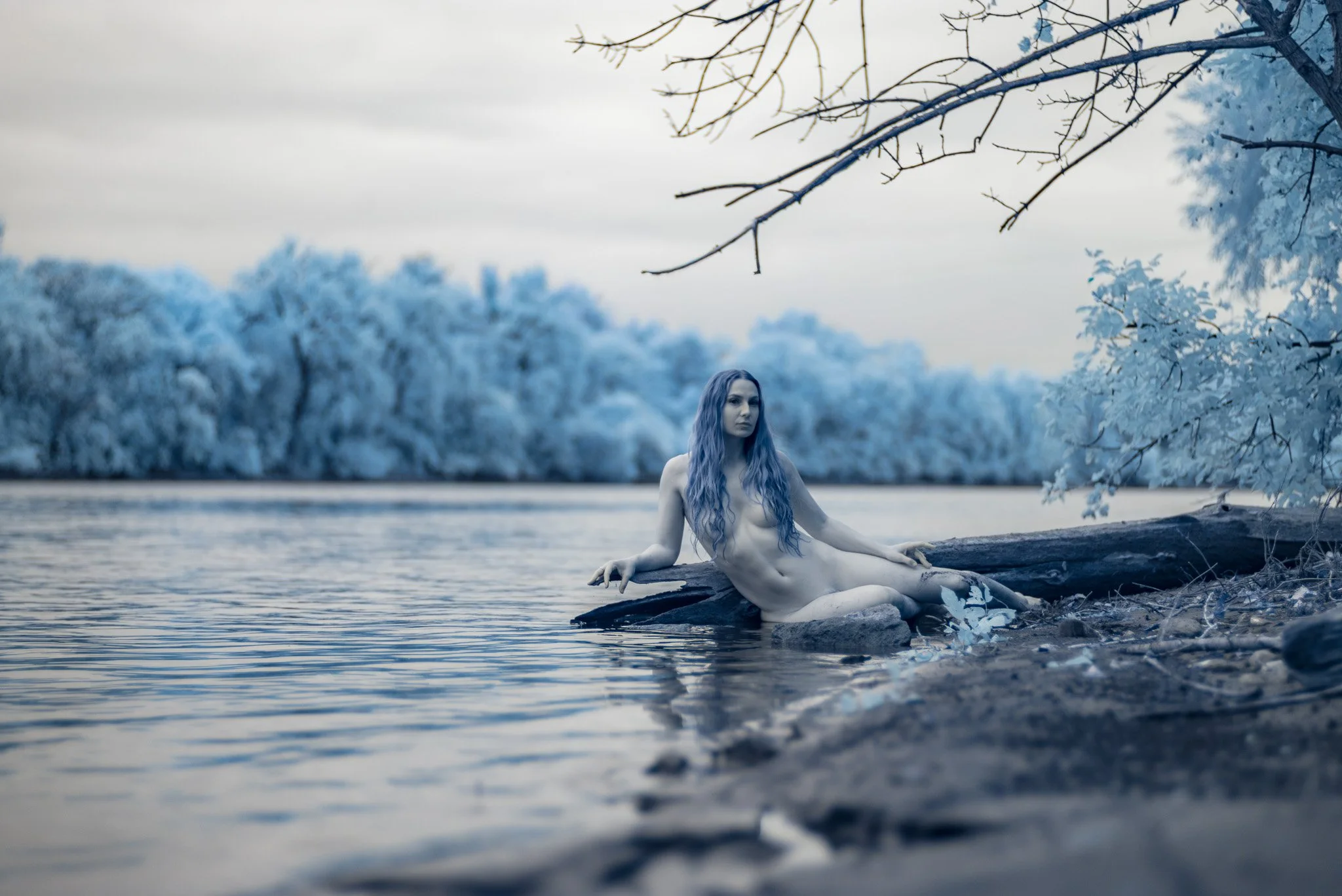 A woman with long blue hair, sitting on a log by a lake in a winter landscape, surrounded by snow-covered trees and branches.