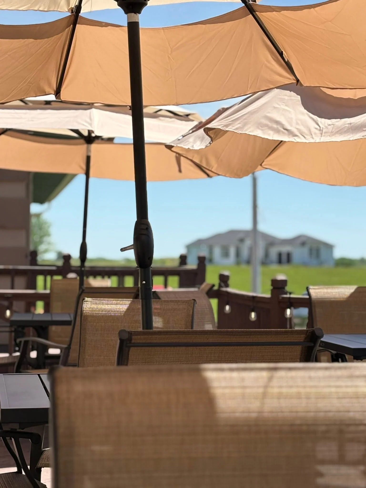 deck umbrella.jpg