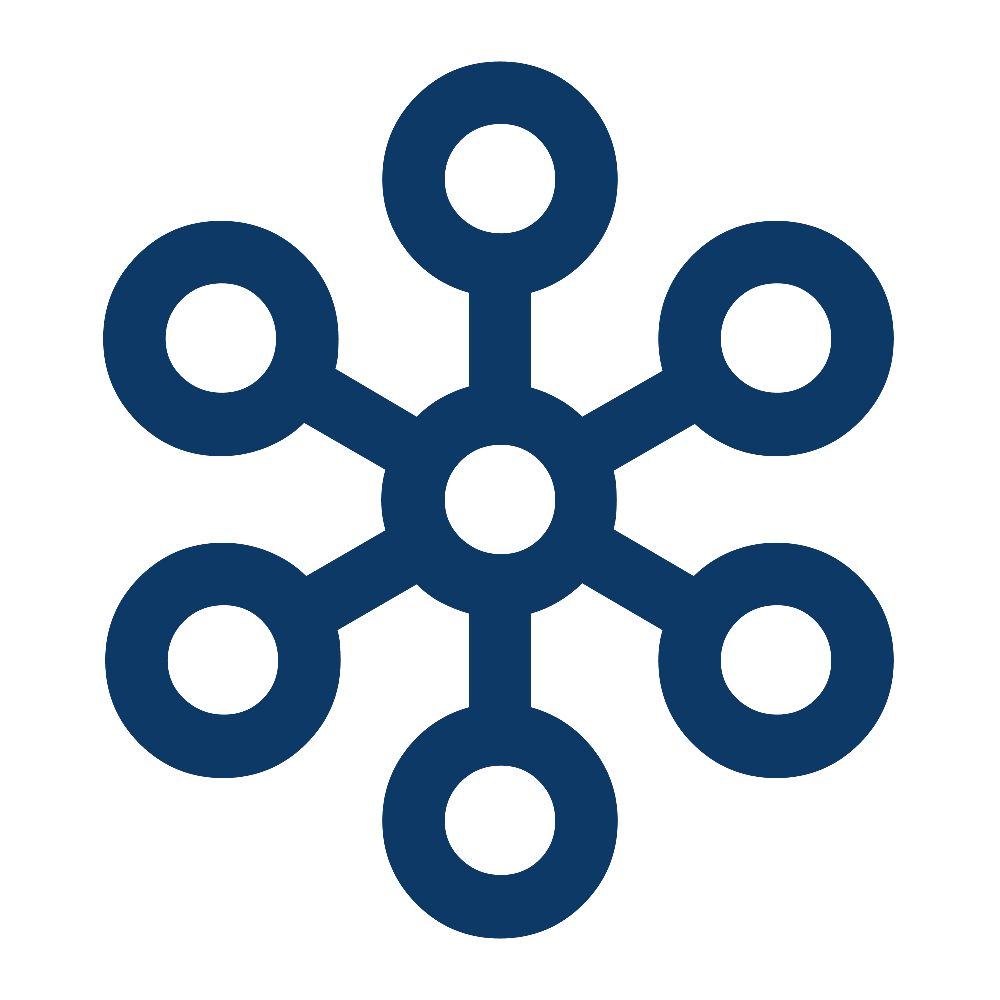 A dark blue network or molecular structure icon with a central circle and seven surrounding circles connected by lines.